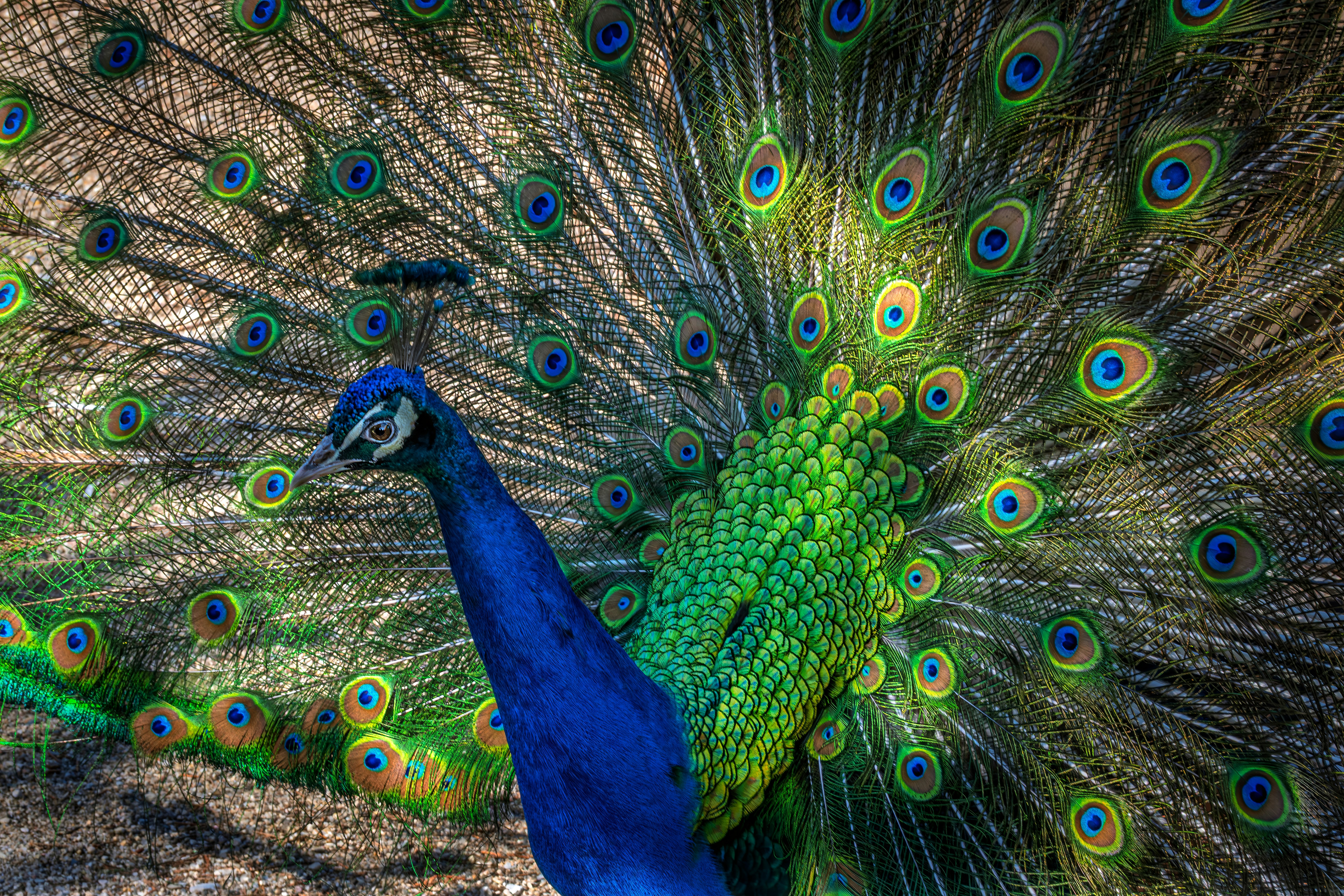 Photo by graphis_photos