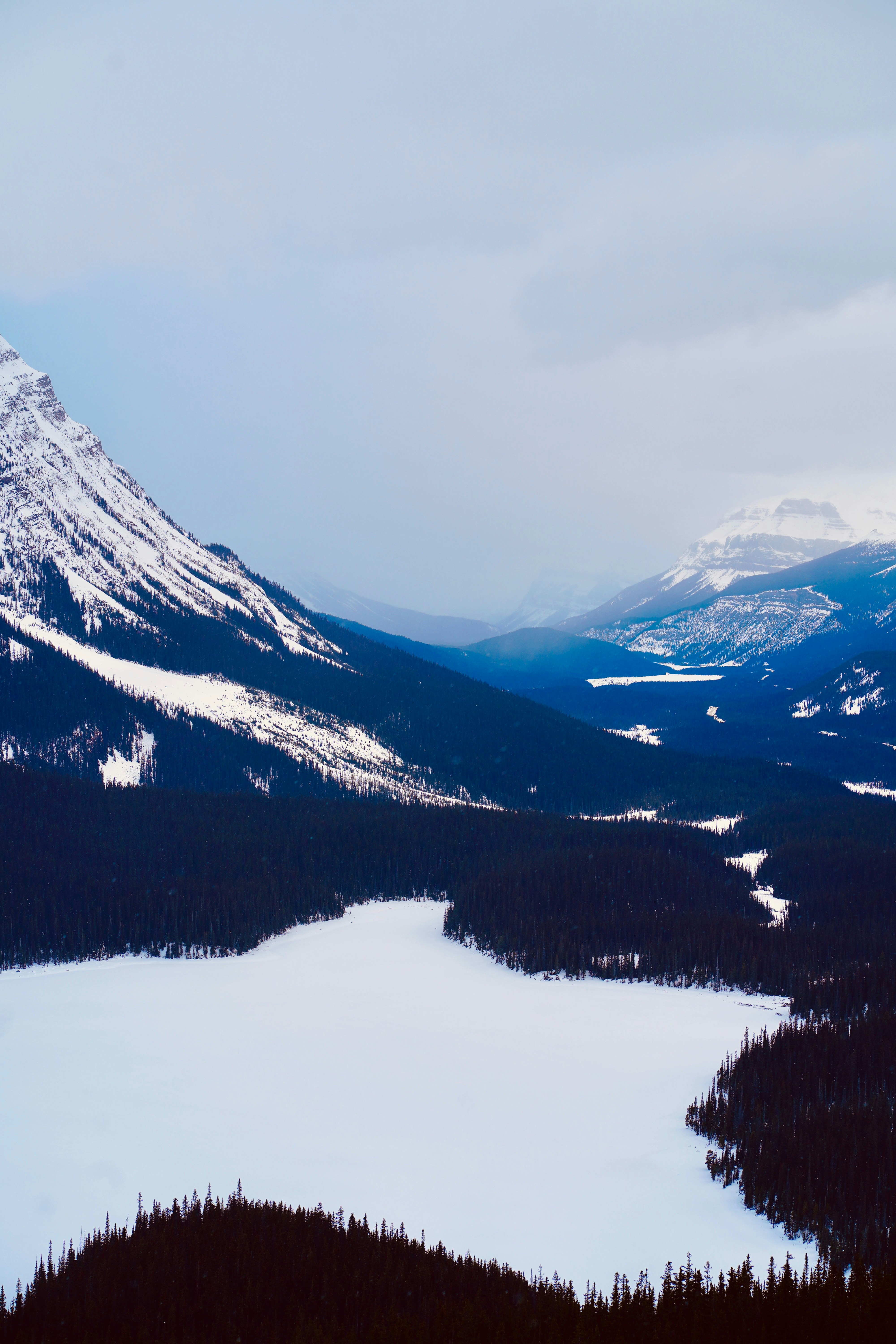 Photo by sangam_sharma