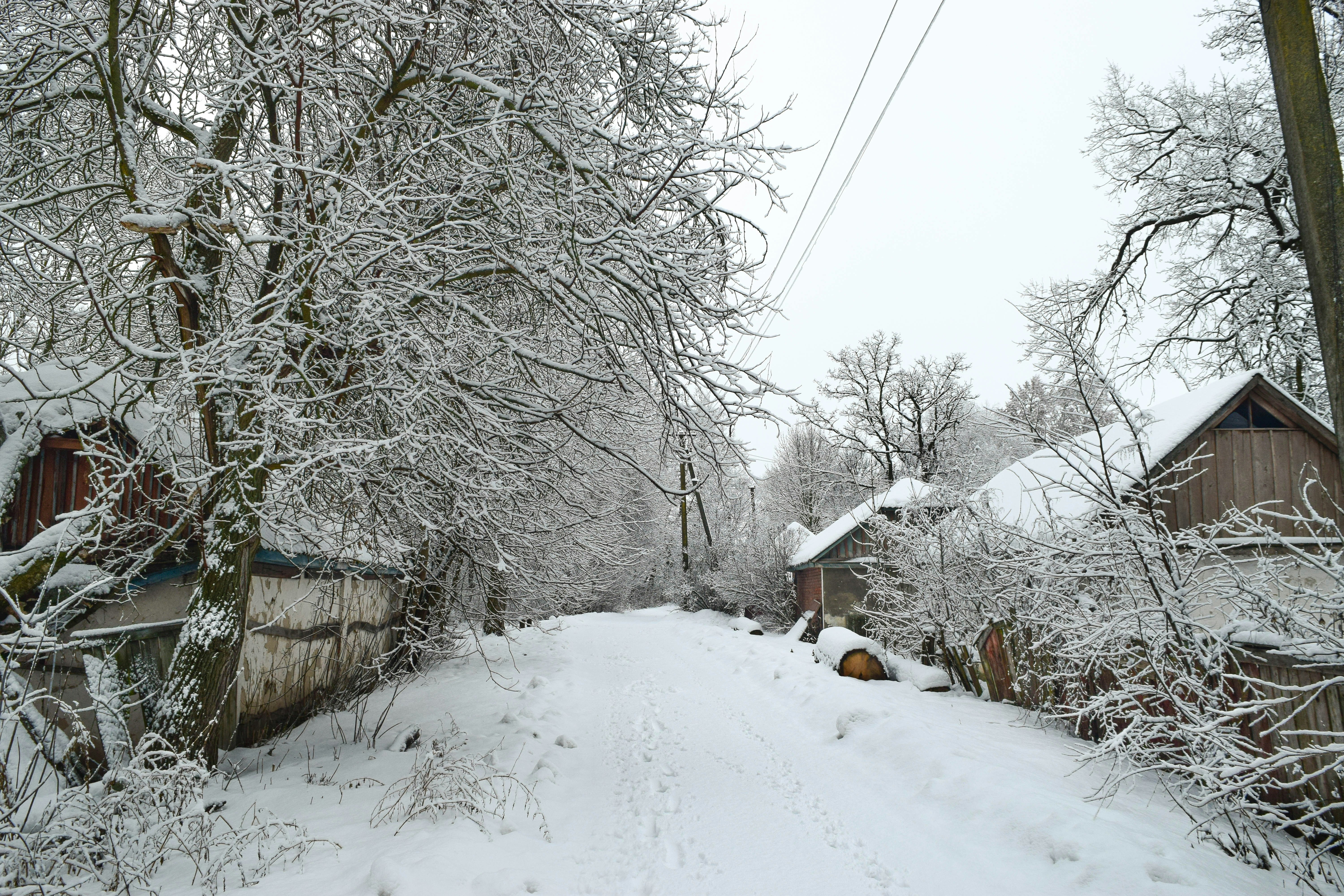 雪に覆われた道が村を通っています。