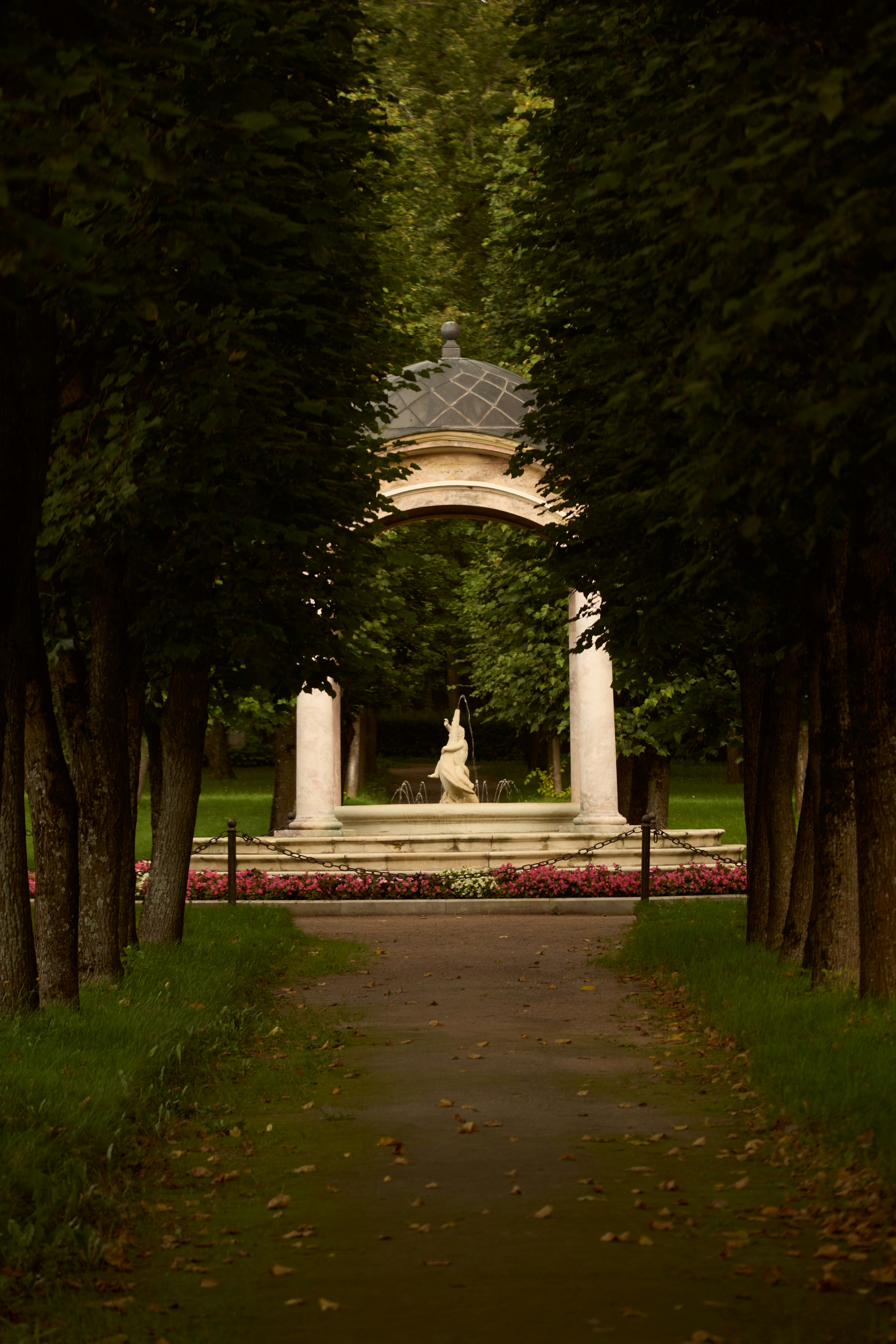 Photo by slenderrowantree