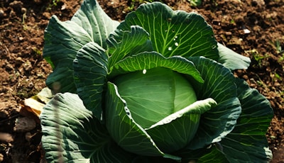 Mix de Hierbas Aromáticas