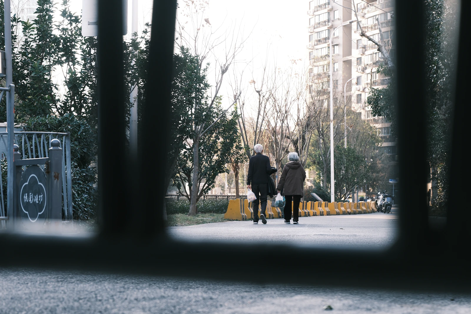 Two older people walking away along a paved path between bare trees, seen through metal railings