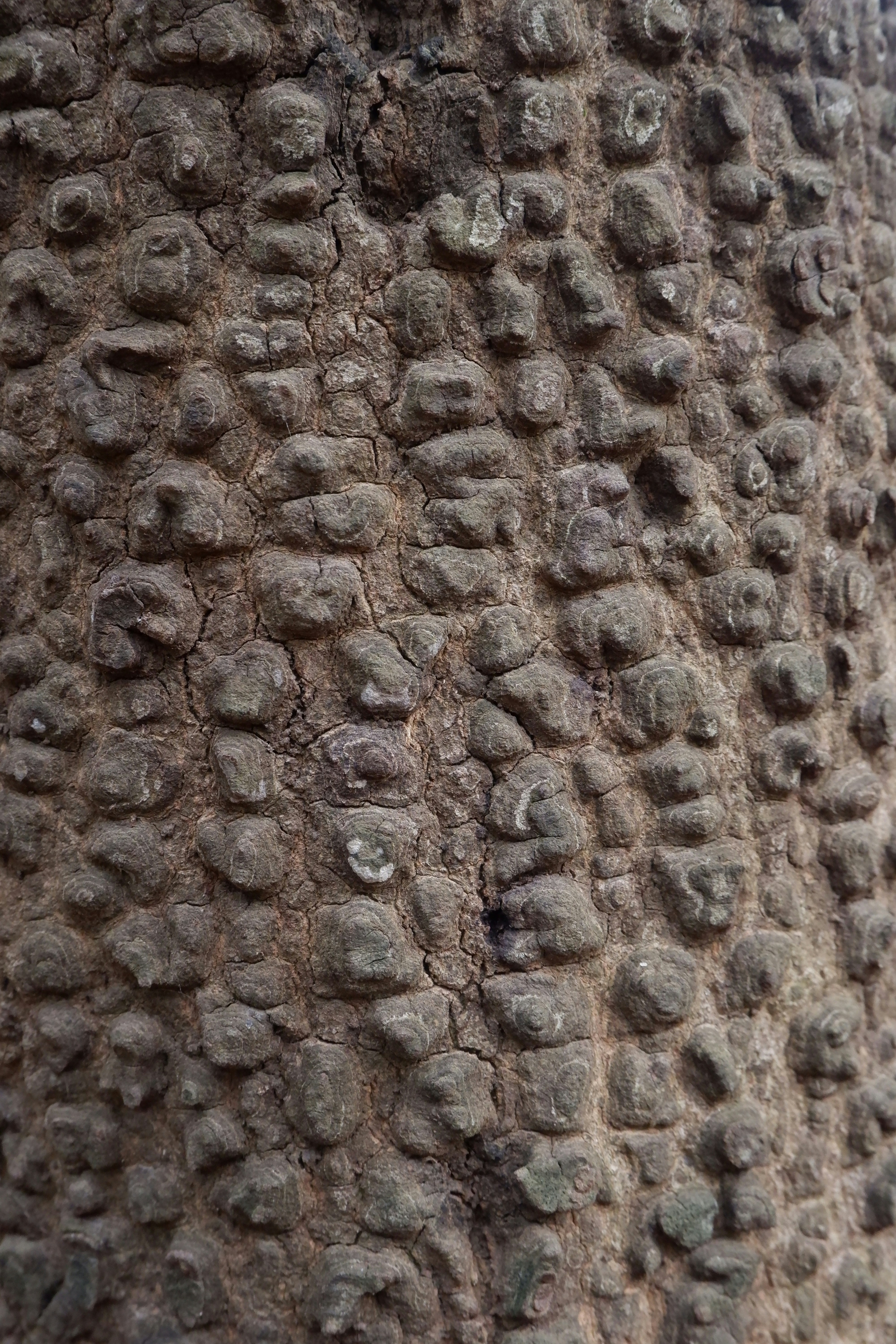 Photo by gridverselabs