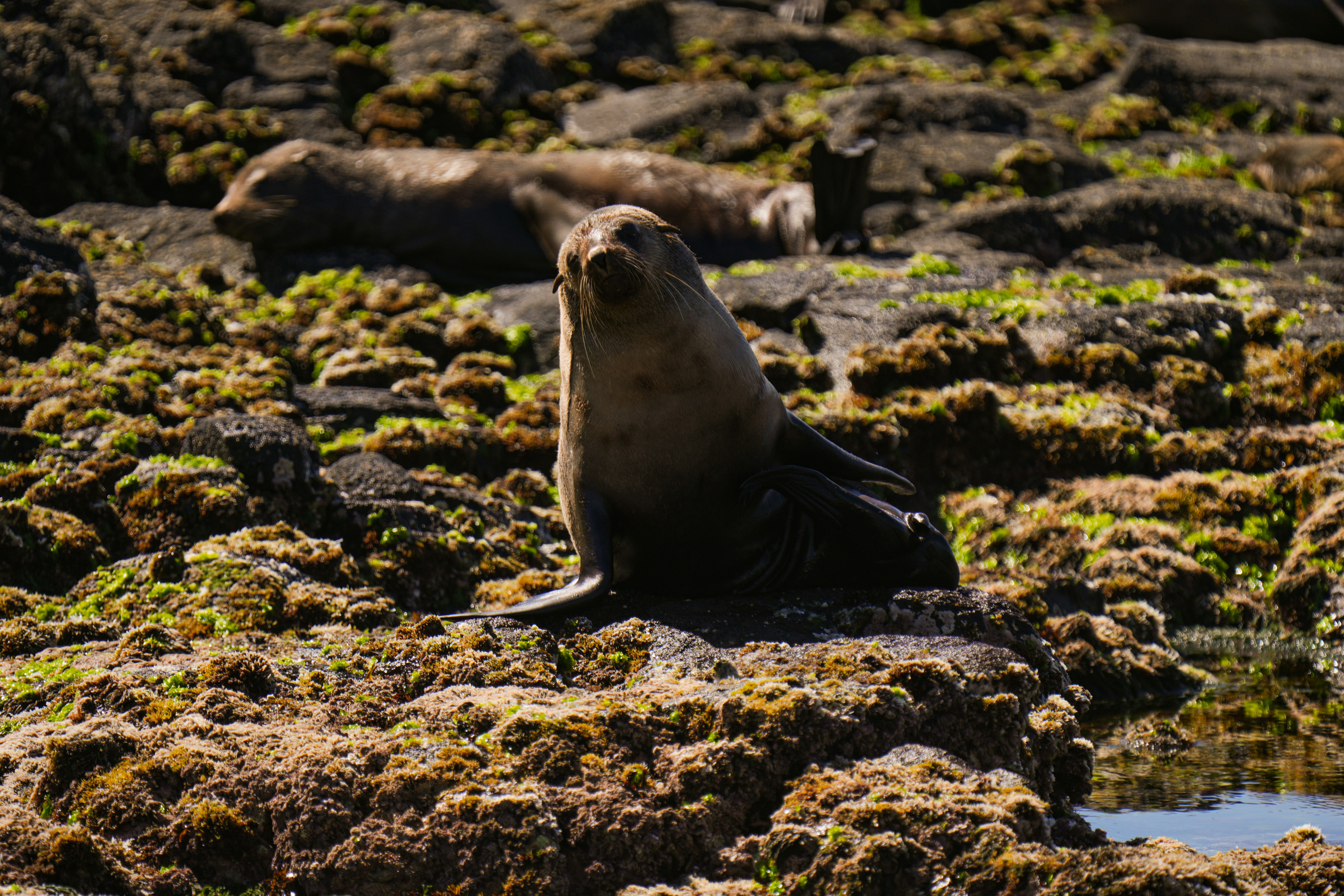 Photo by paulkrueger