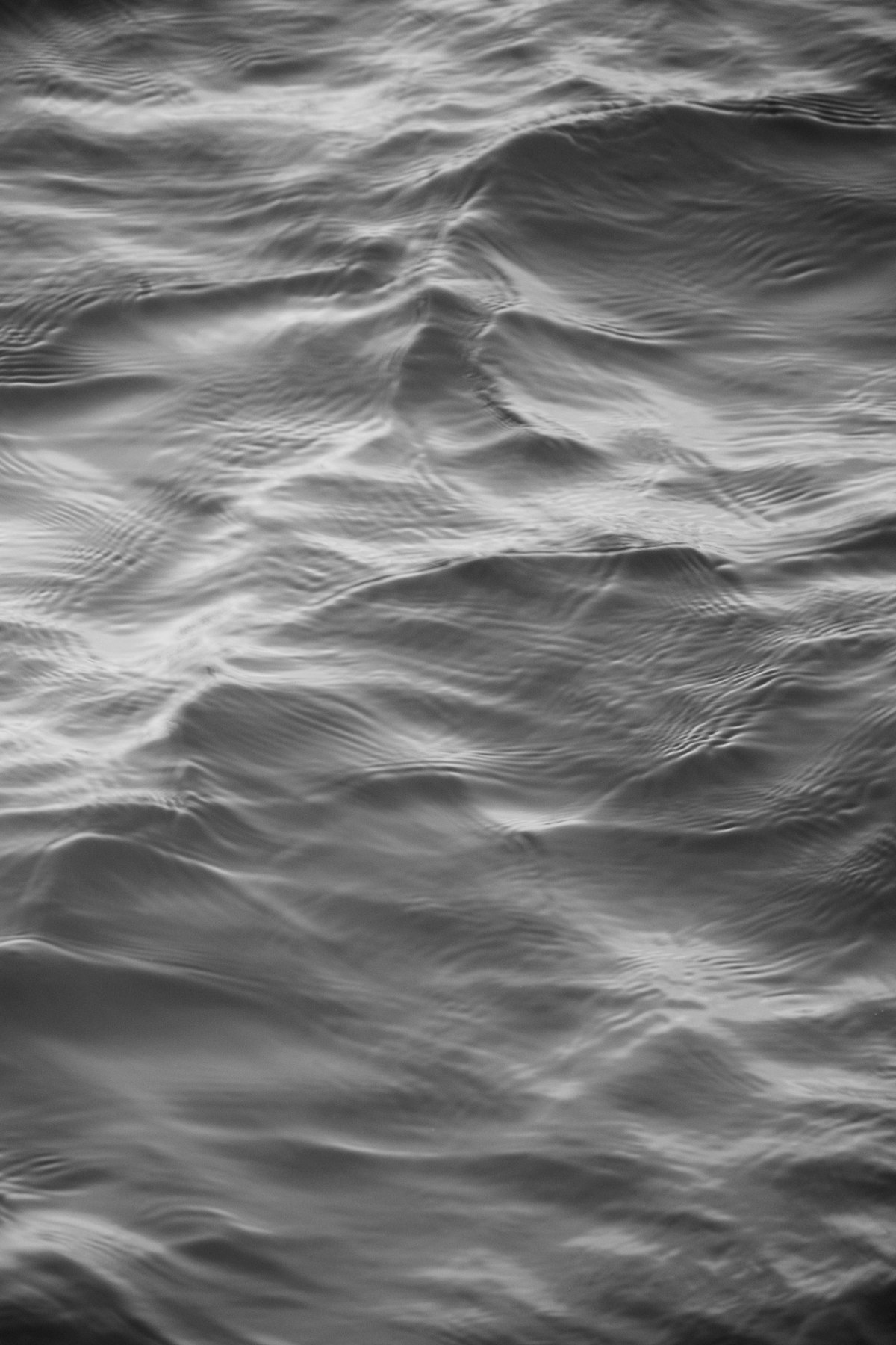 Close-up of still water surface in grayscale, gentle ripple pattern