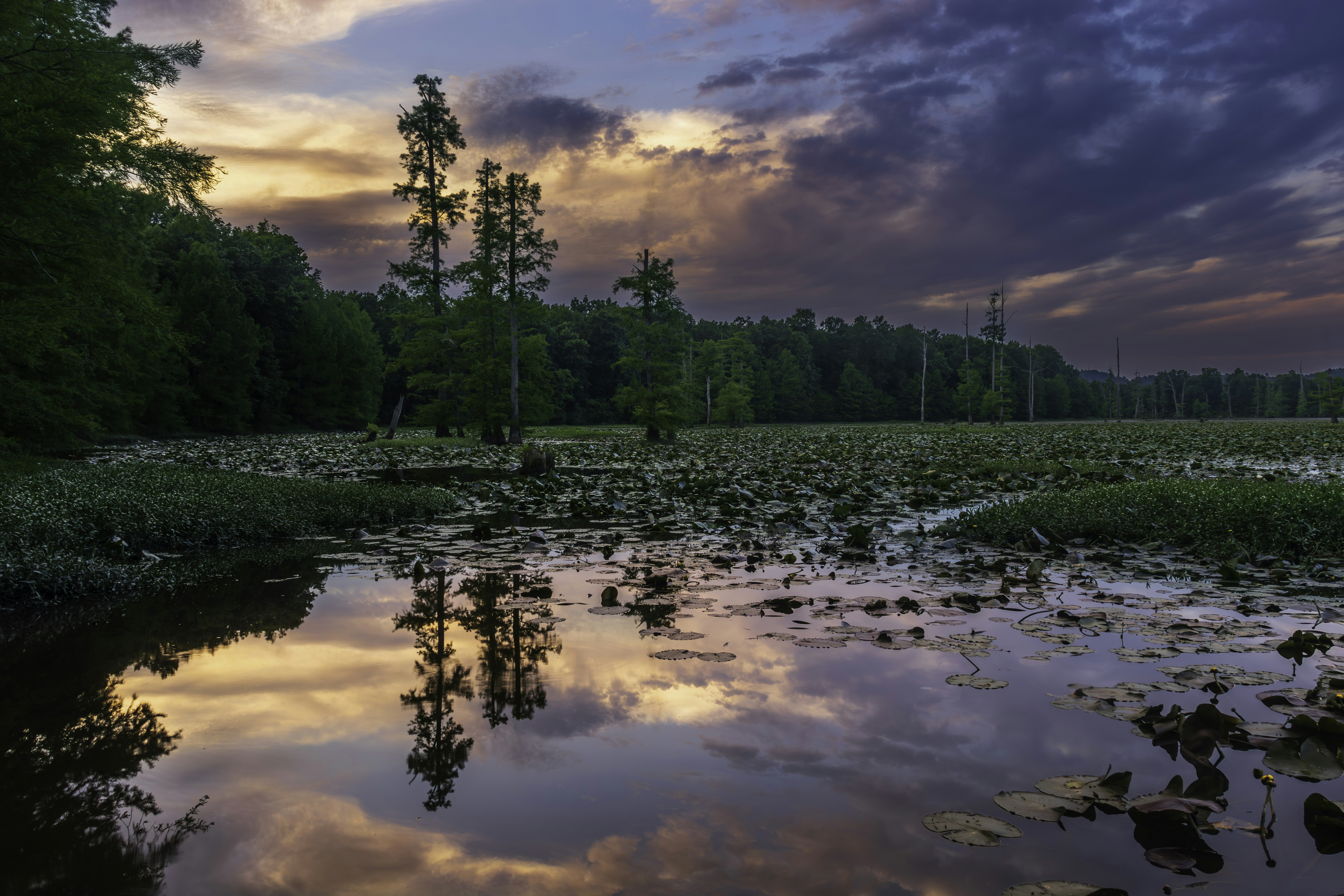 Photo by nathanwfoster