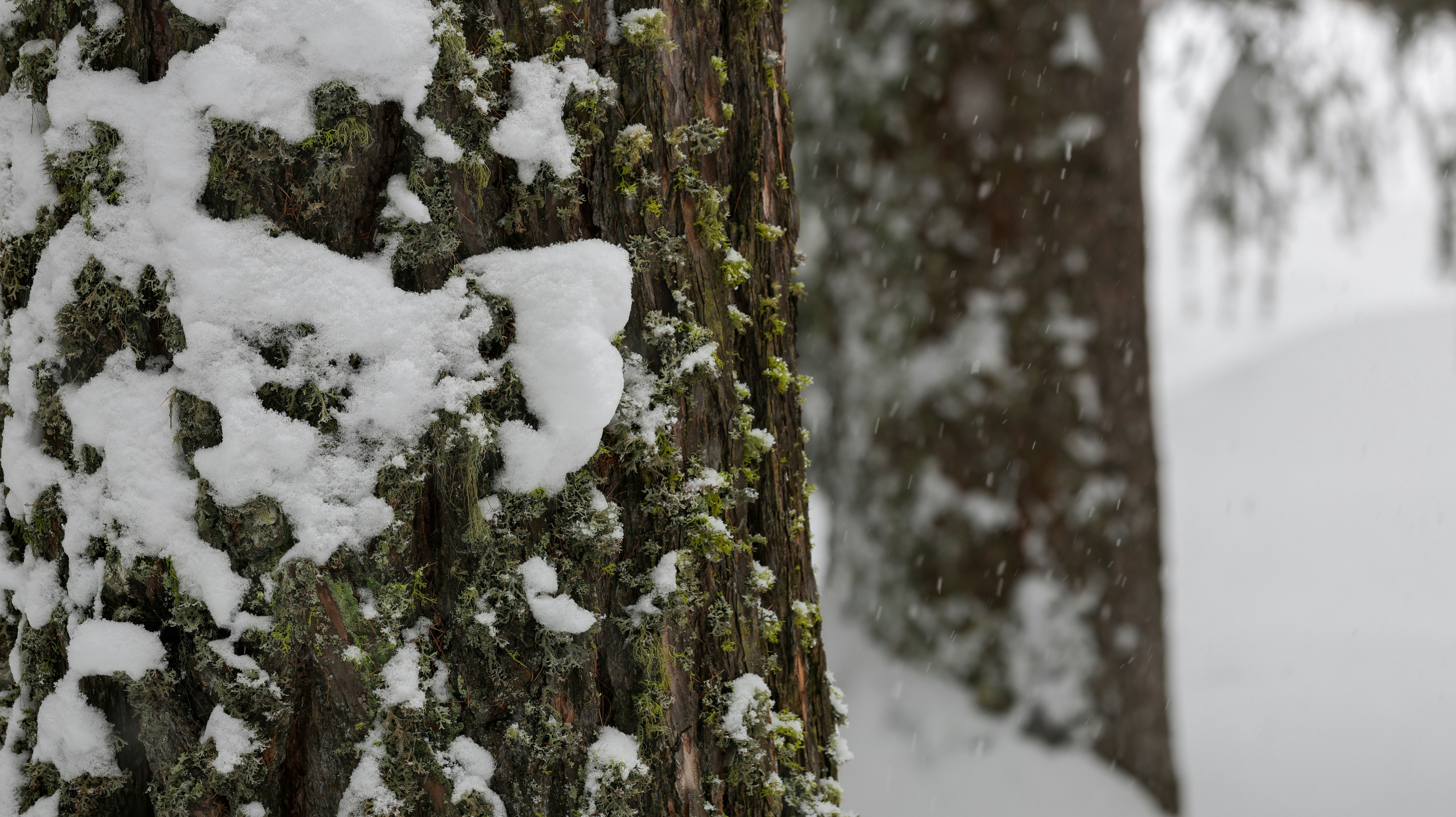 Photo by valomukitse