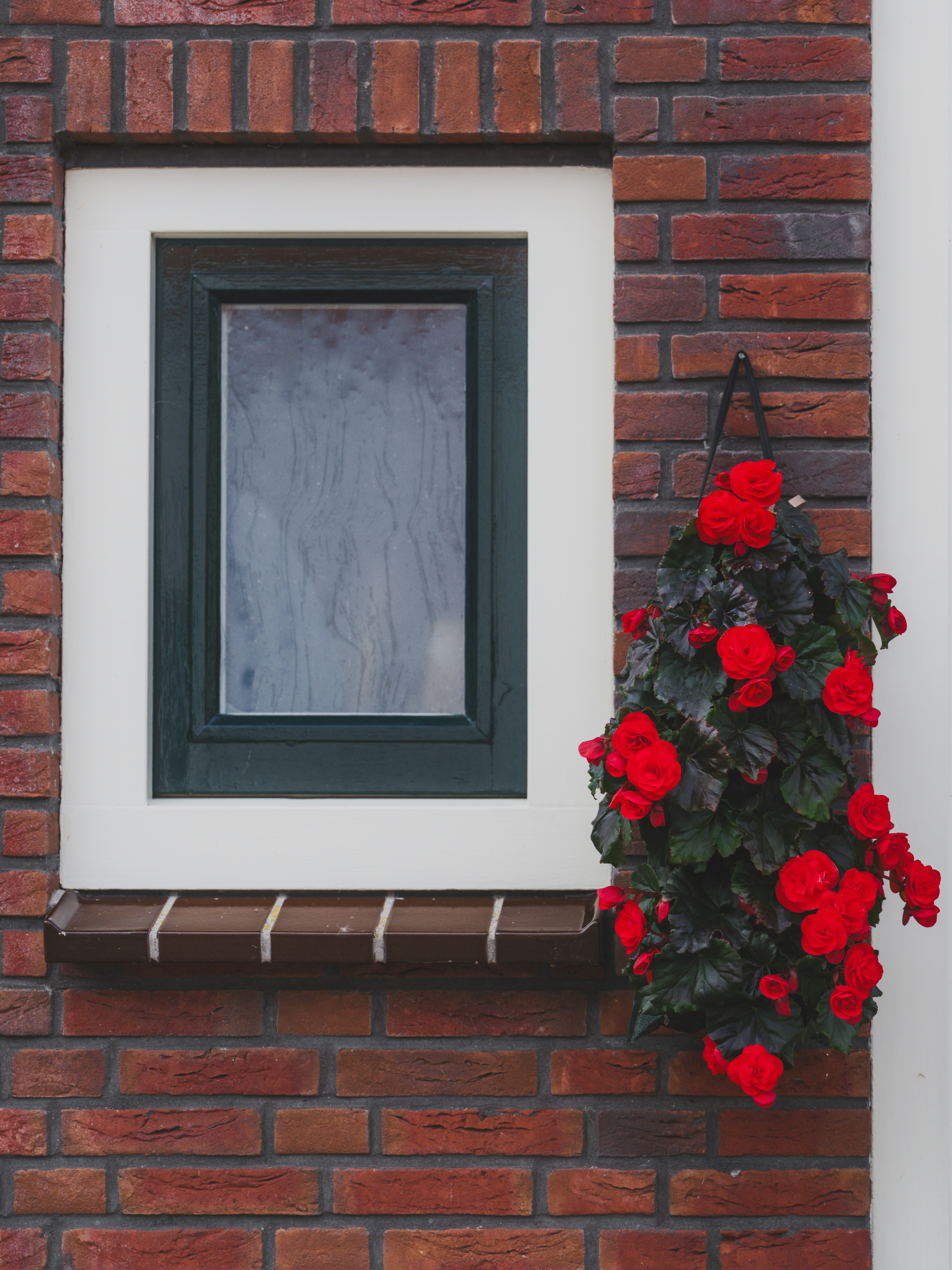 Photo by haberdoedas