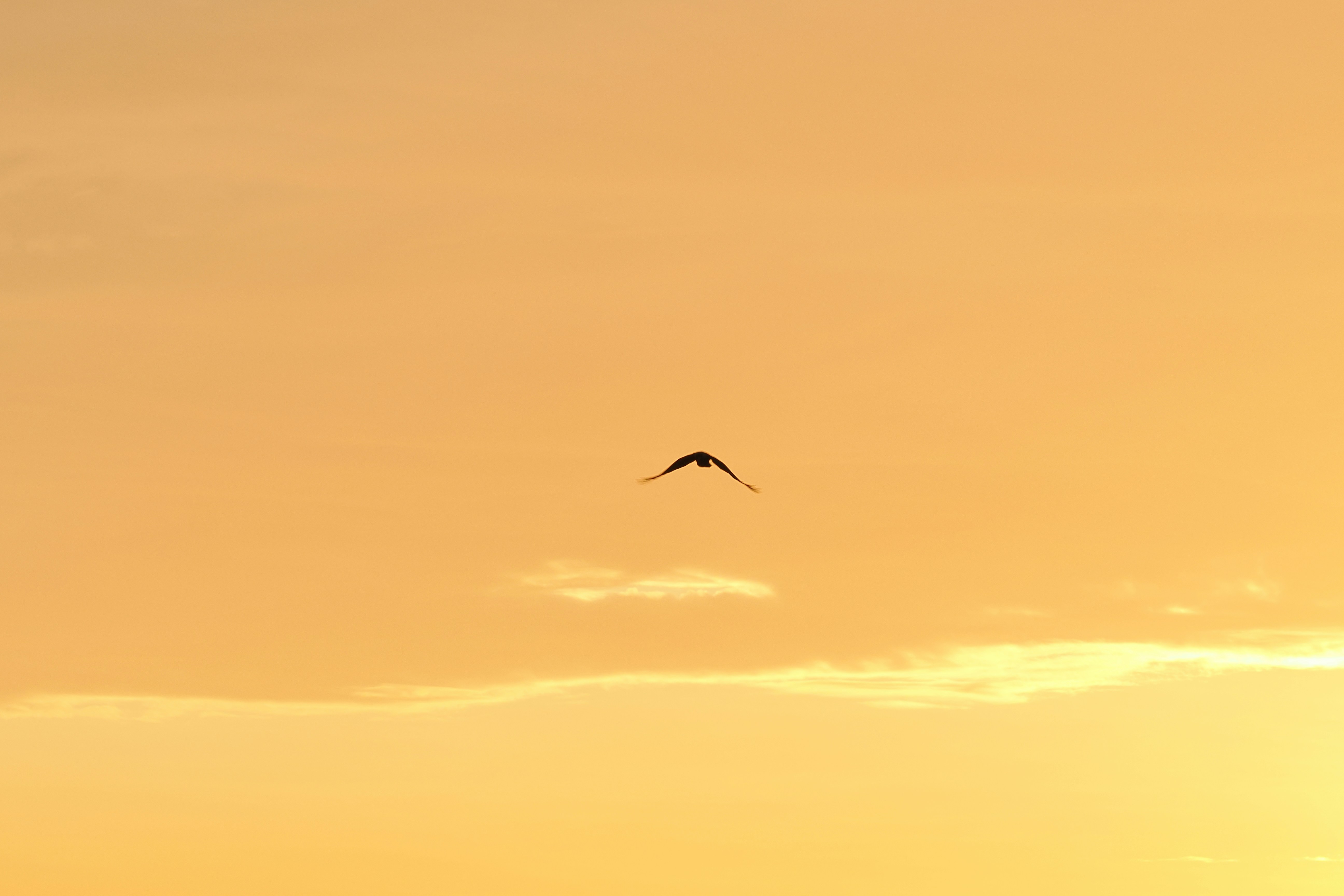 Photo by liliantruong2603