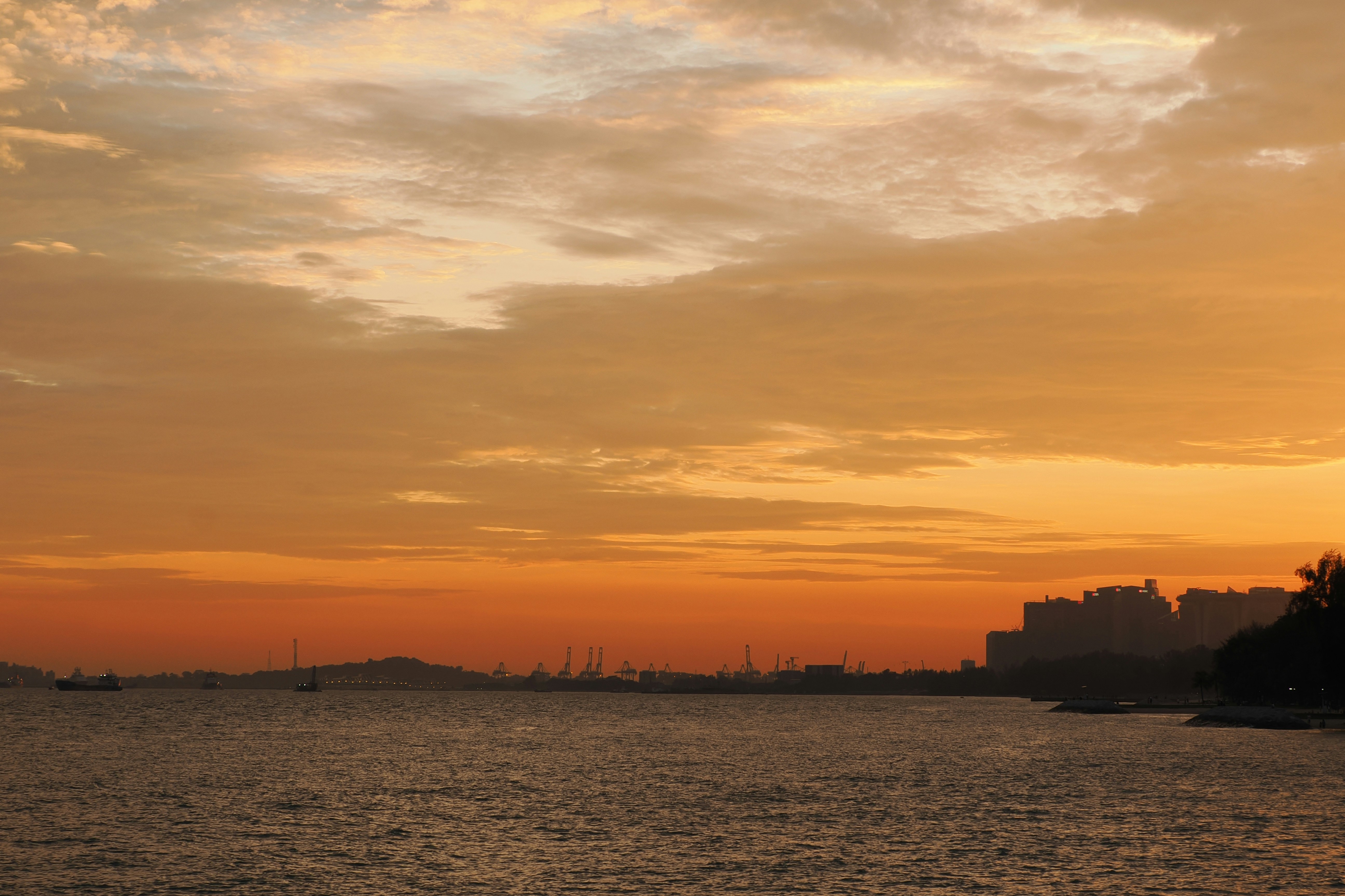 Photo by liliantruong2603