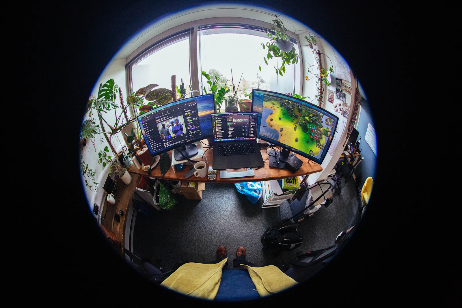 Bureau avec plusieurs écrans et des plantes