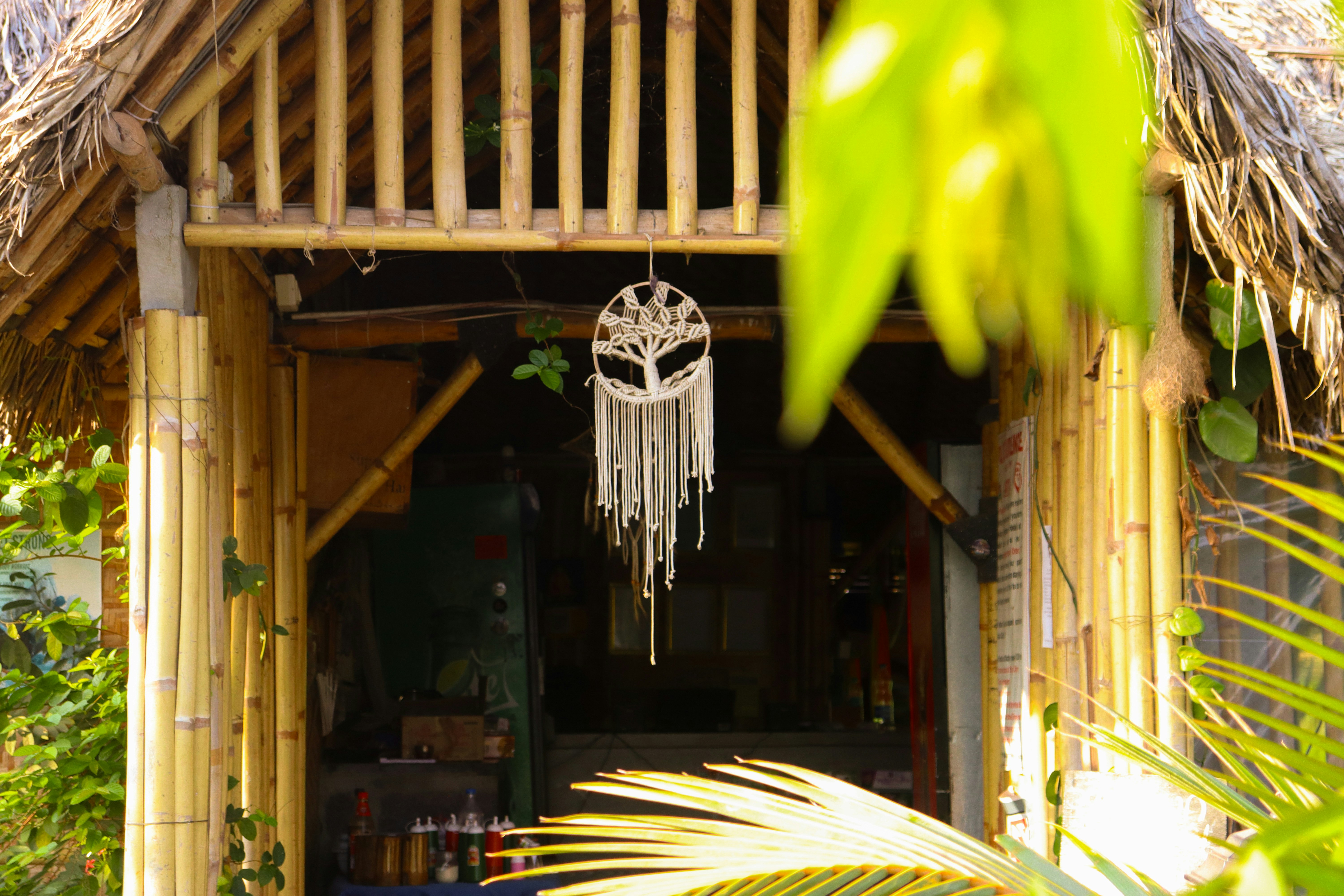 Photo by que_pictures