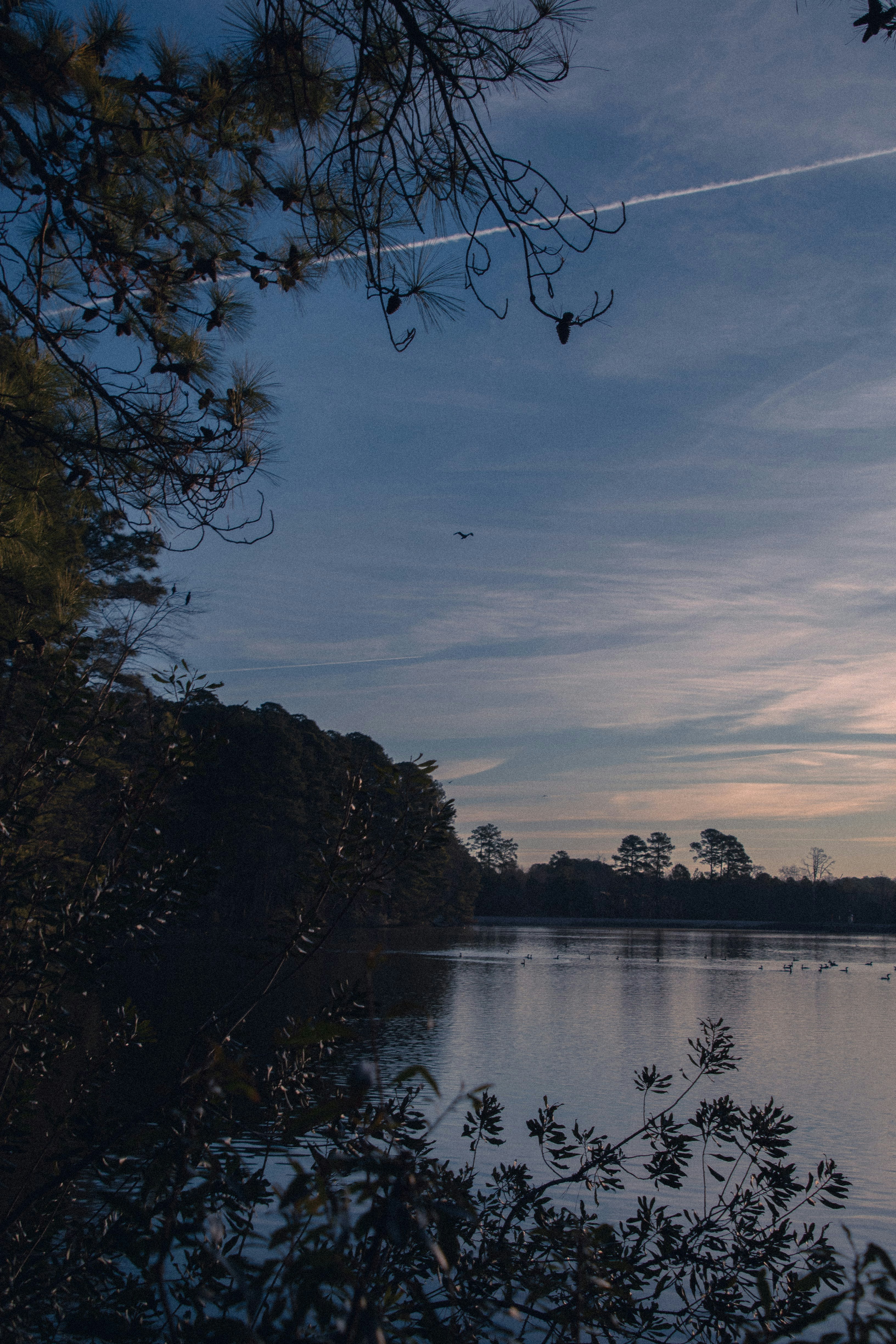 Photo by attaliehart