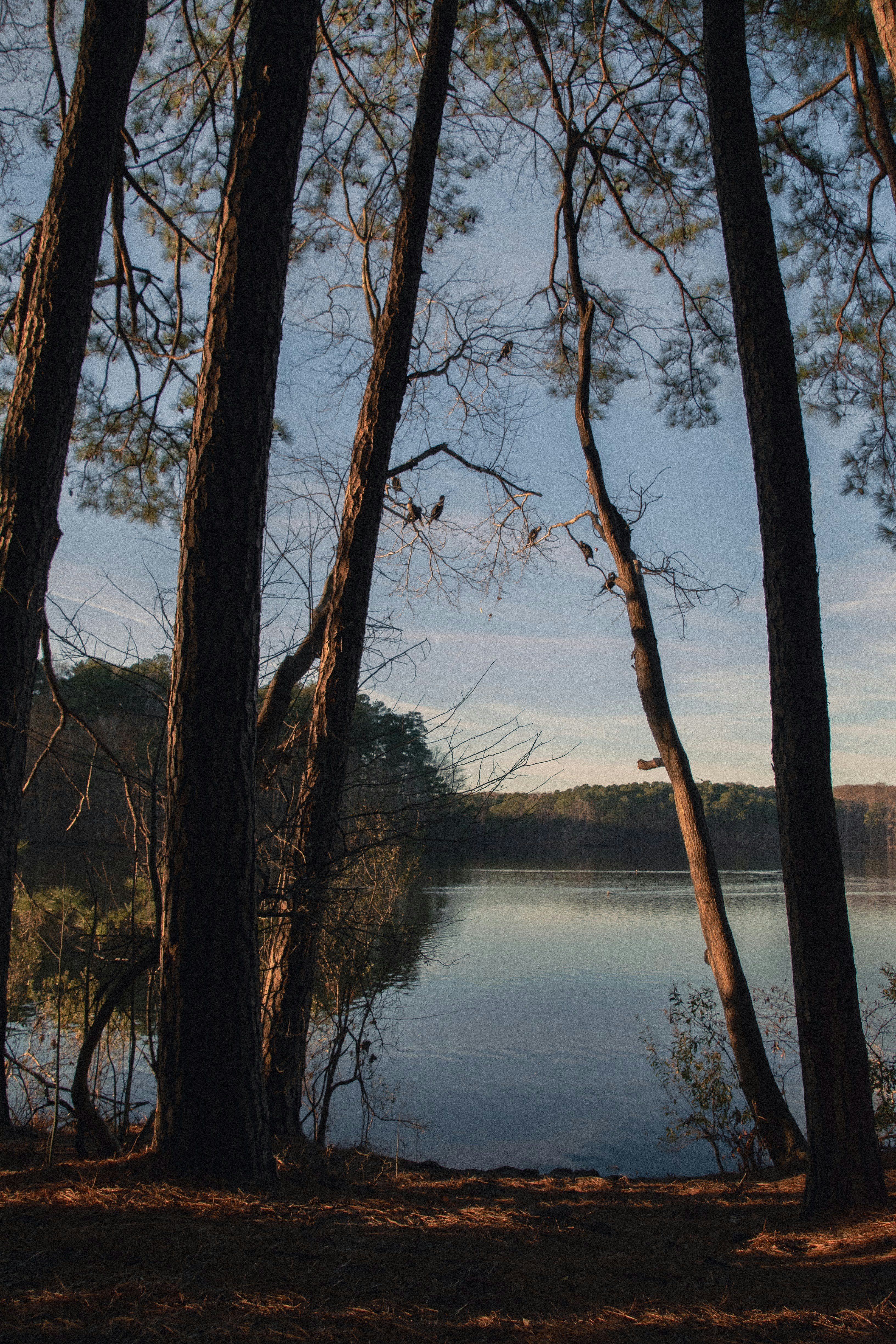 Photo by attaliehart