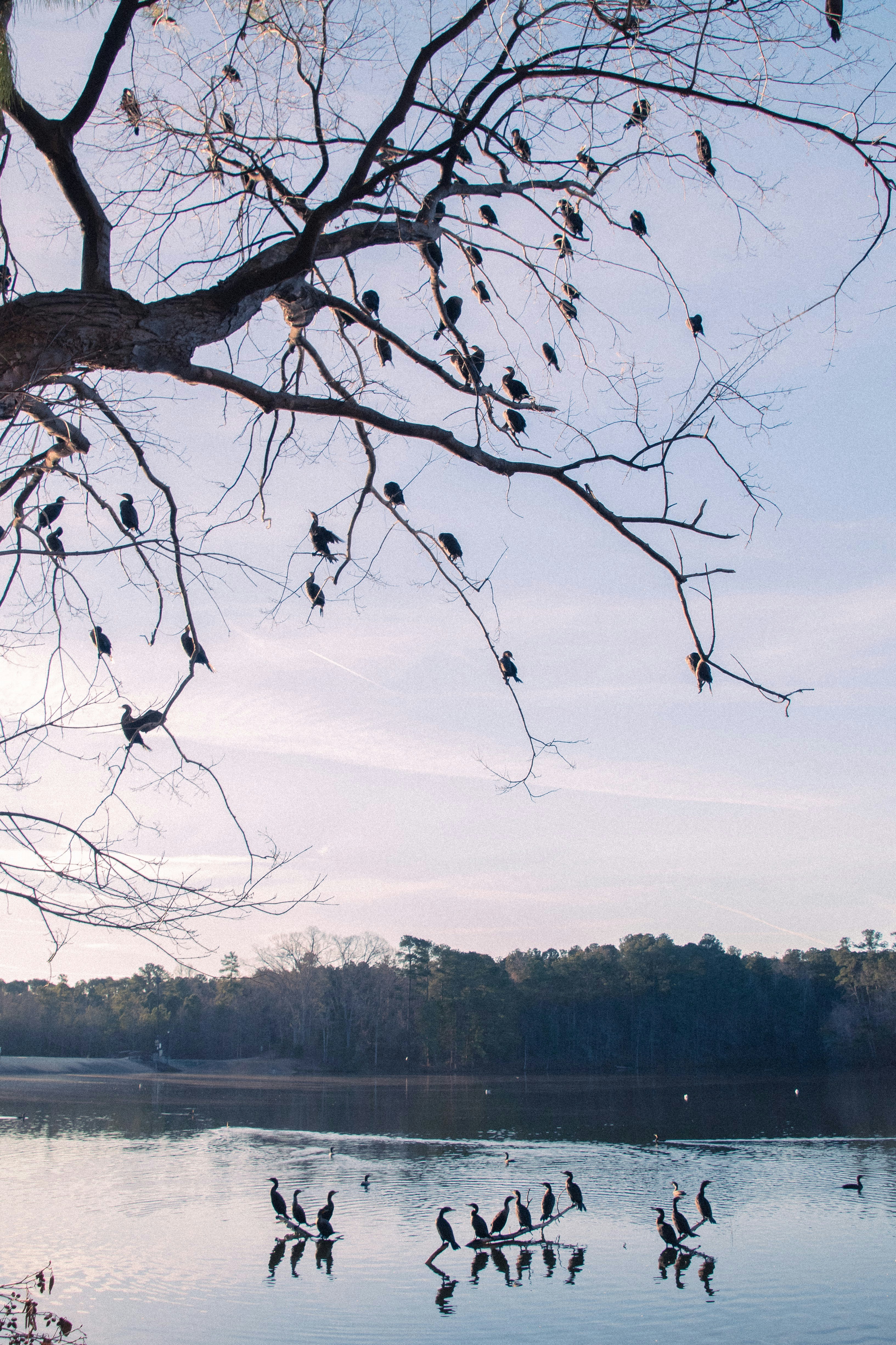 Photo by attaliehart