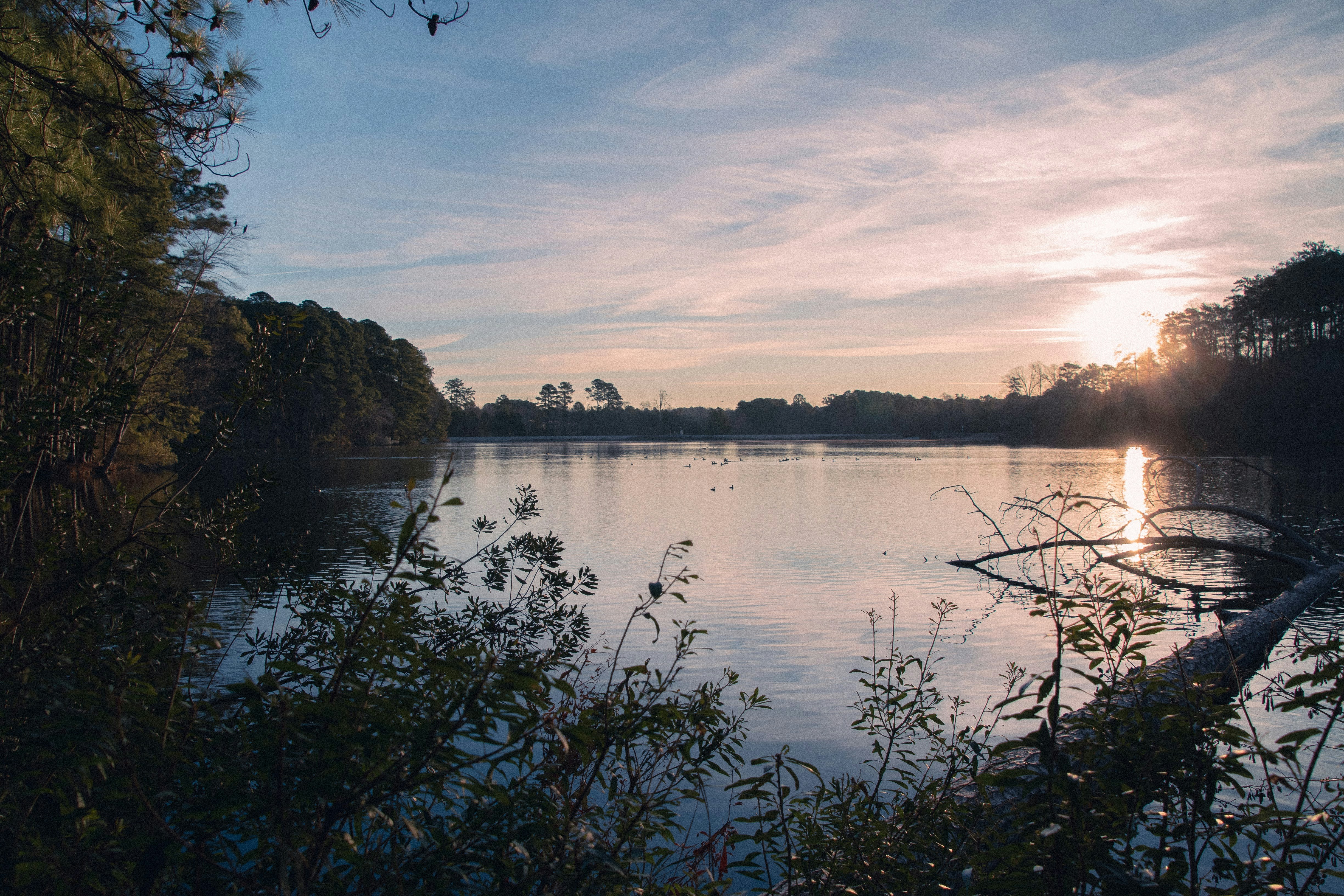 Photo by attaliehart