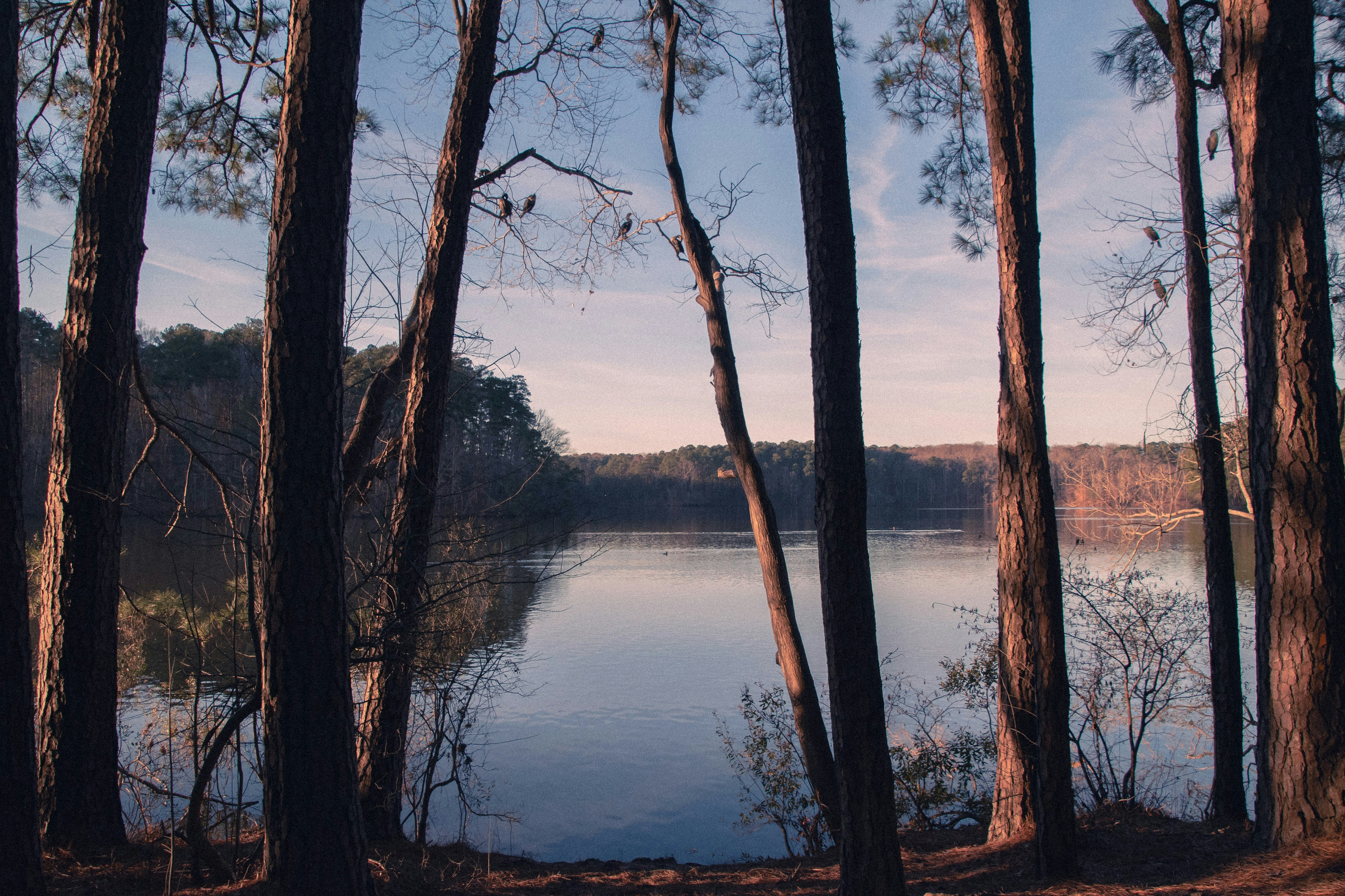 Photo by attaliehart