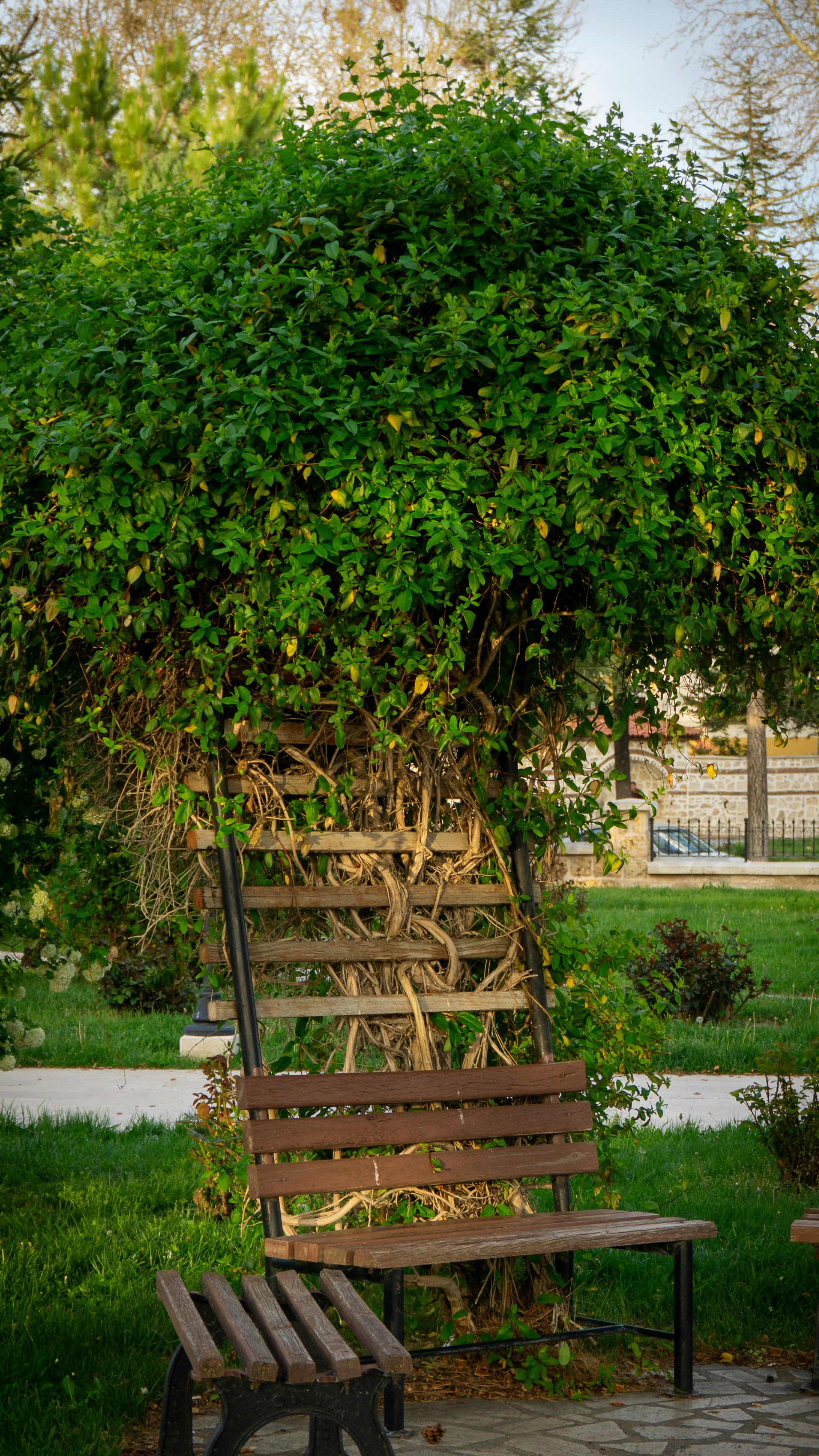 Photo by erdem_aydin