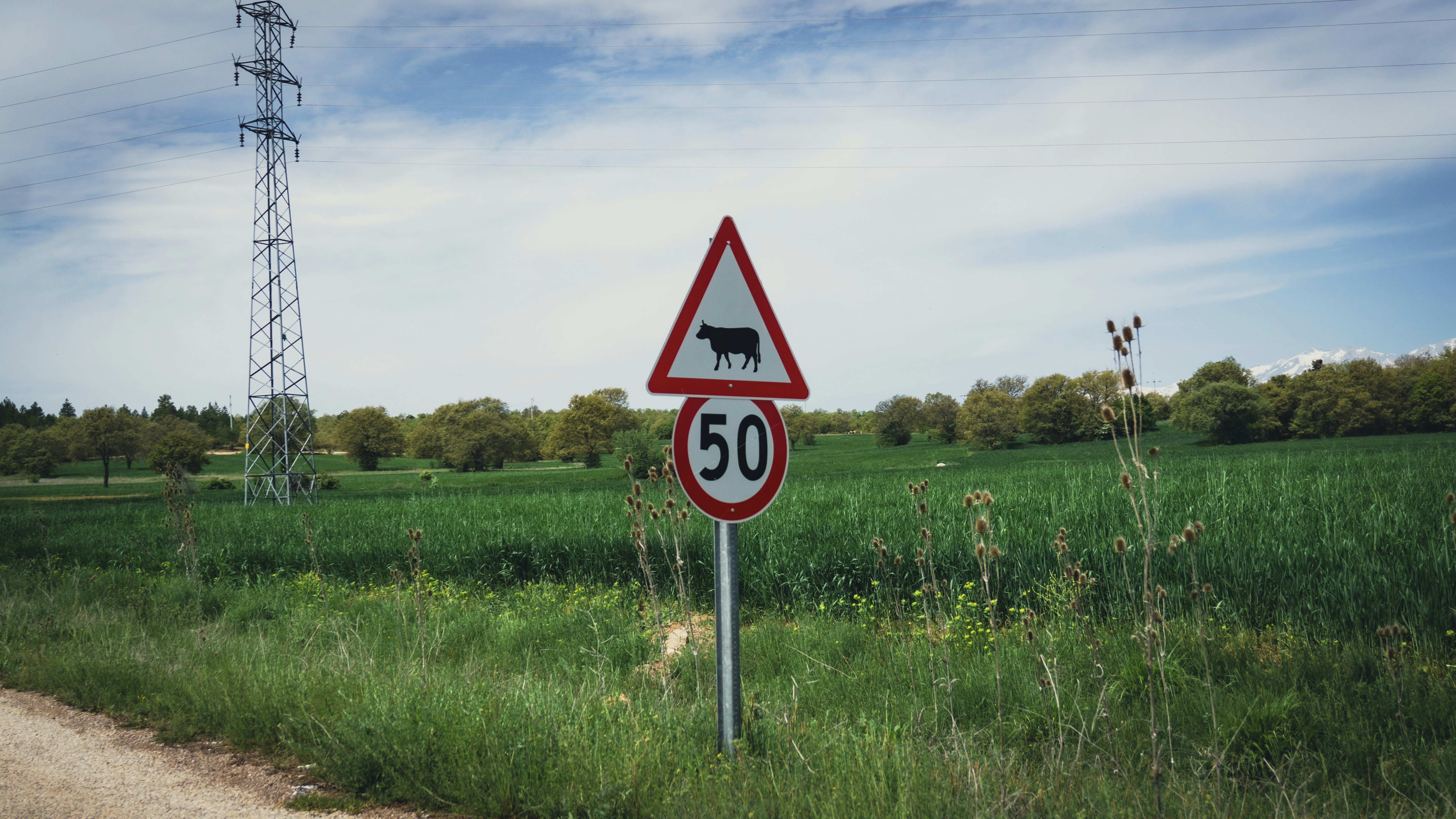 Photo by erdem_aydin