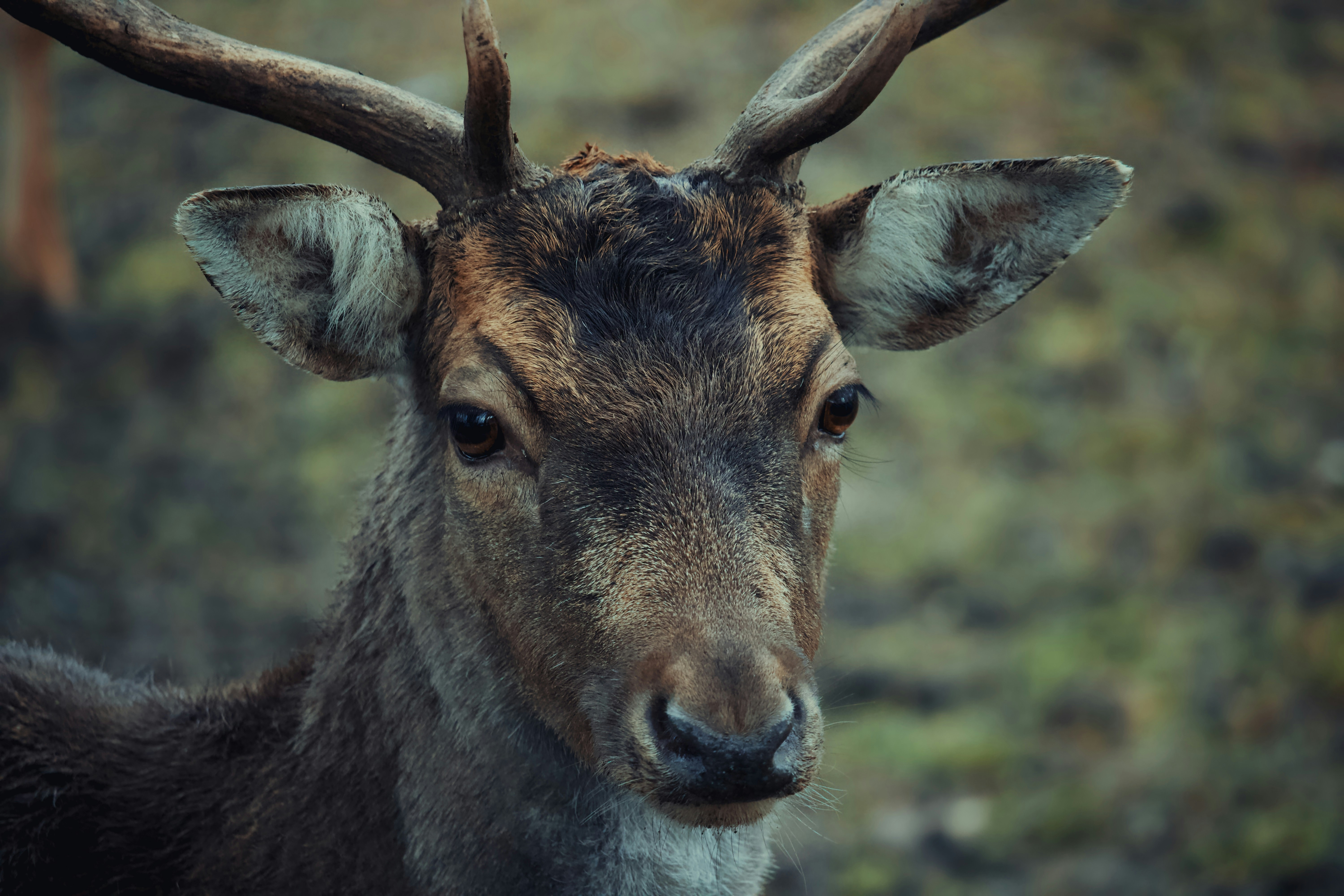 Photo by sveneisenschmidt