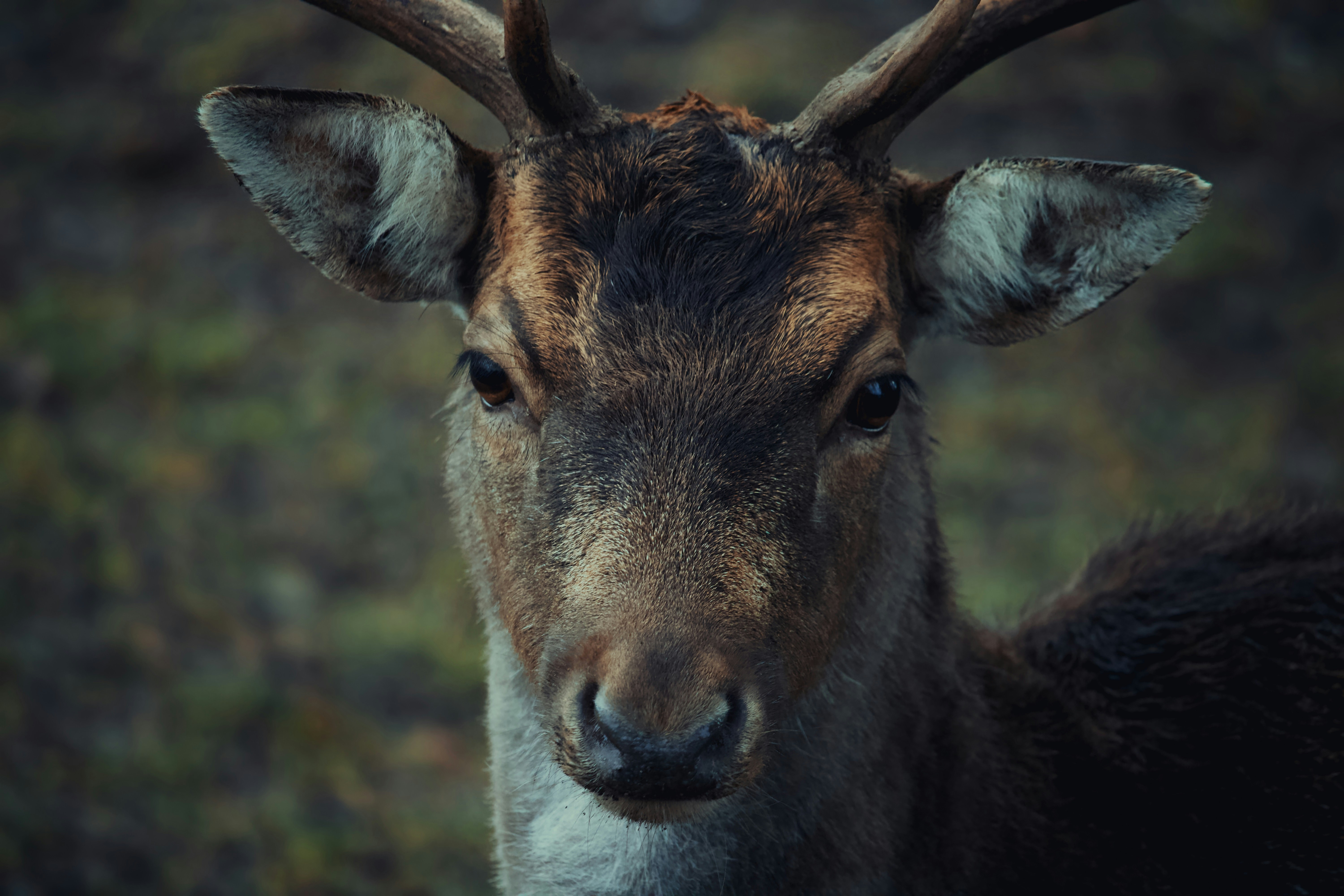 Photo by sveneisenschmidt