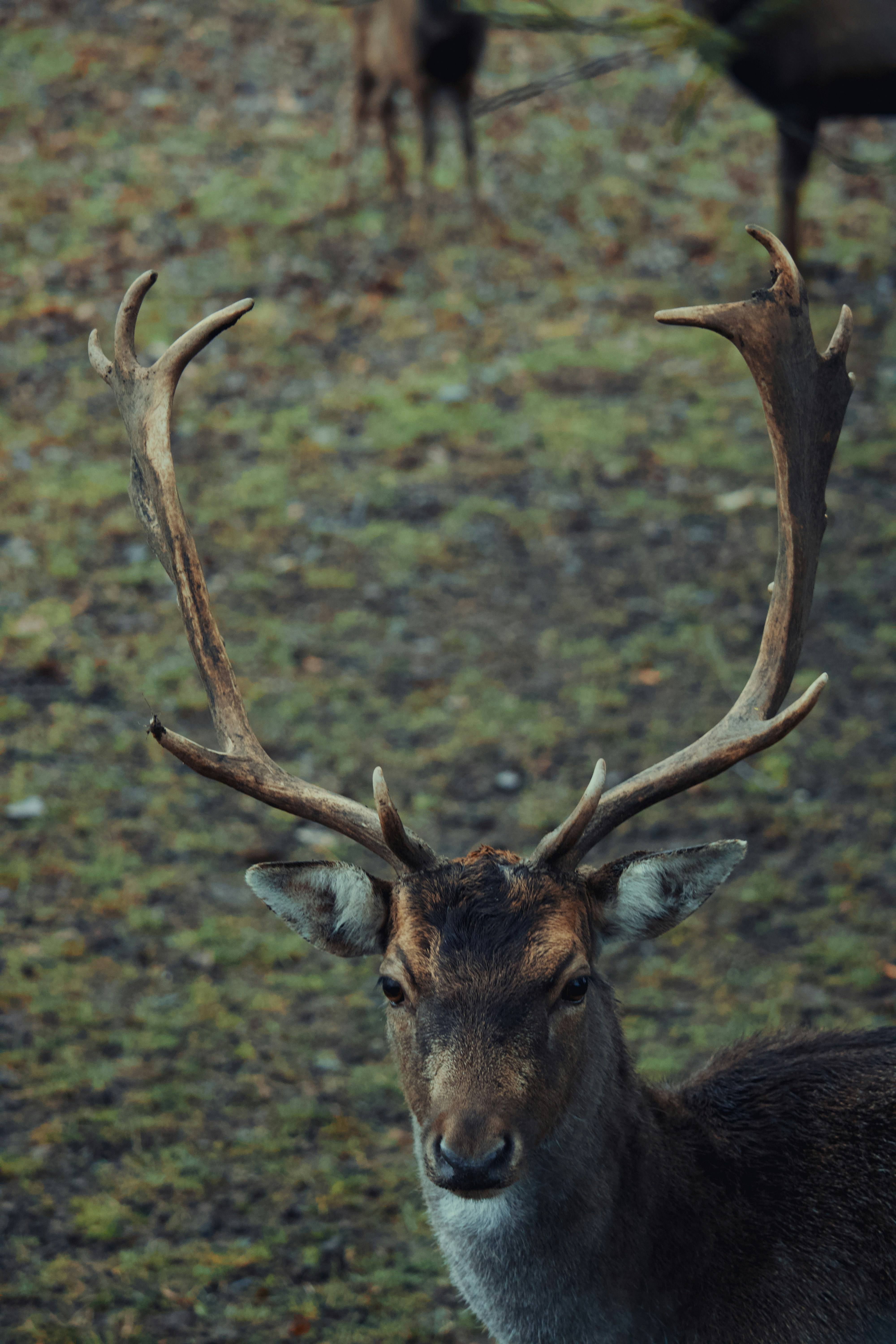 Photo by sveneisenschmidt