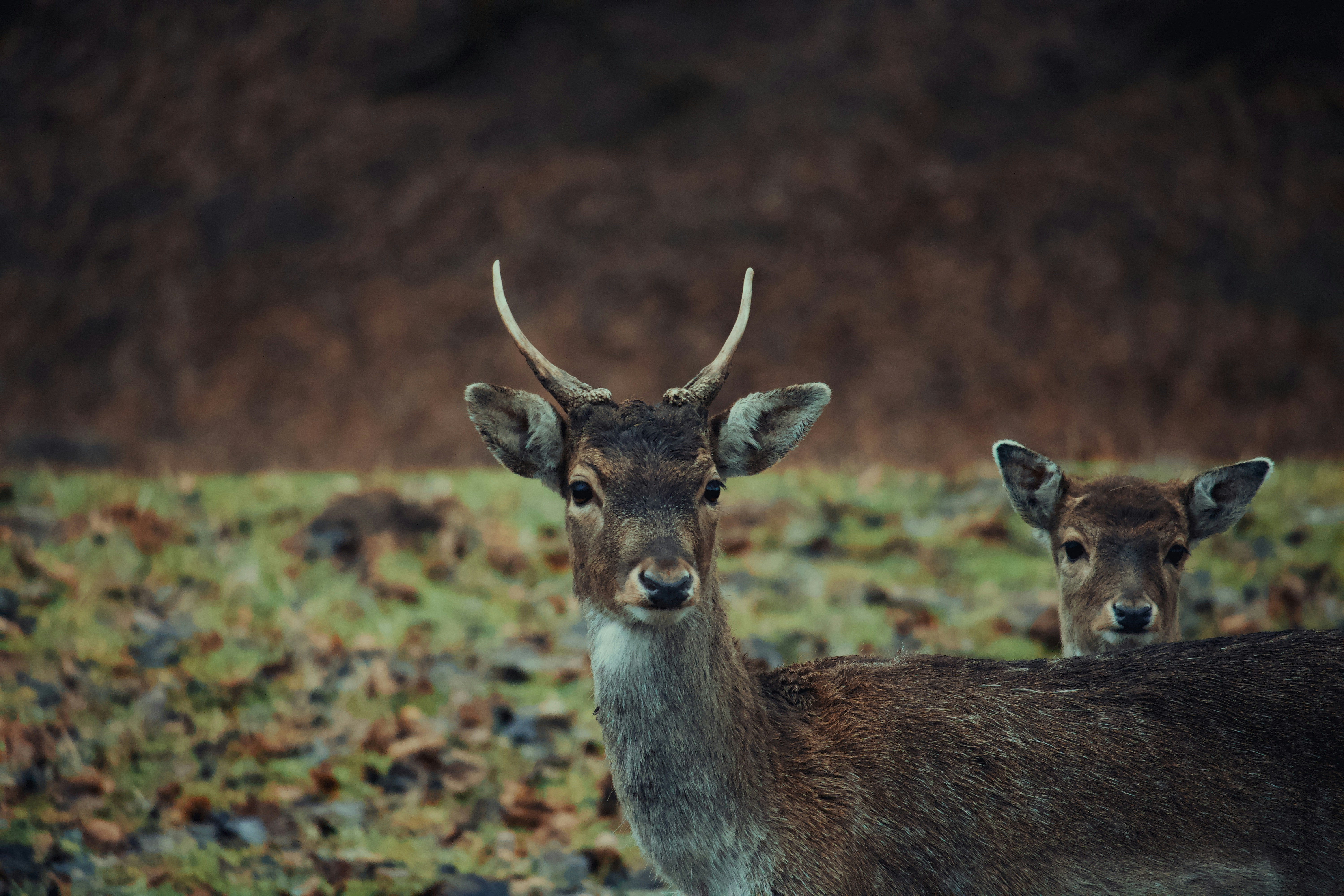 Photo by sveneisenschmidt