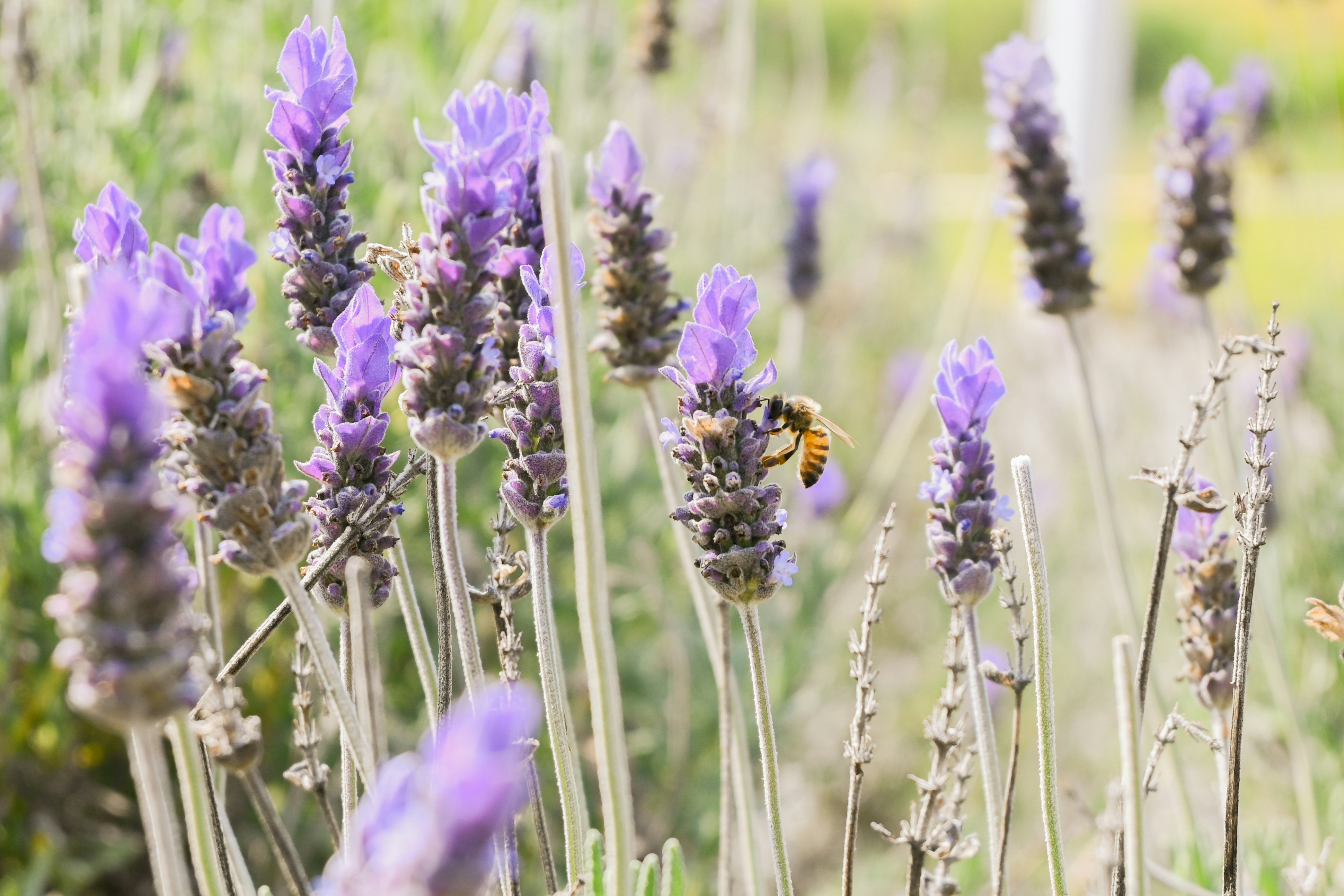 Photo by vanya_serrano11