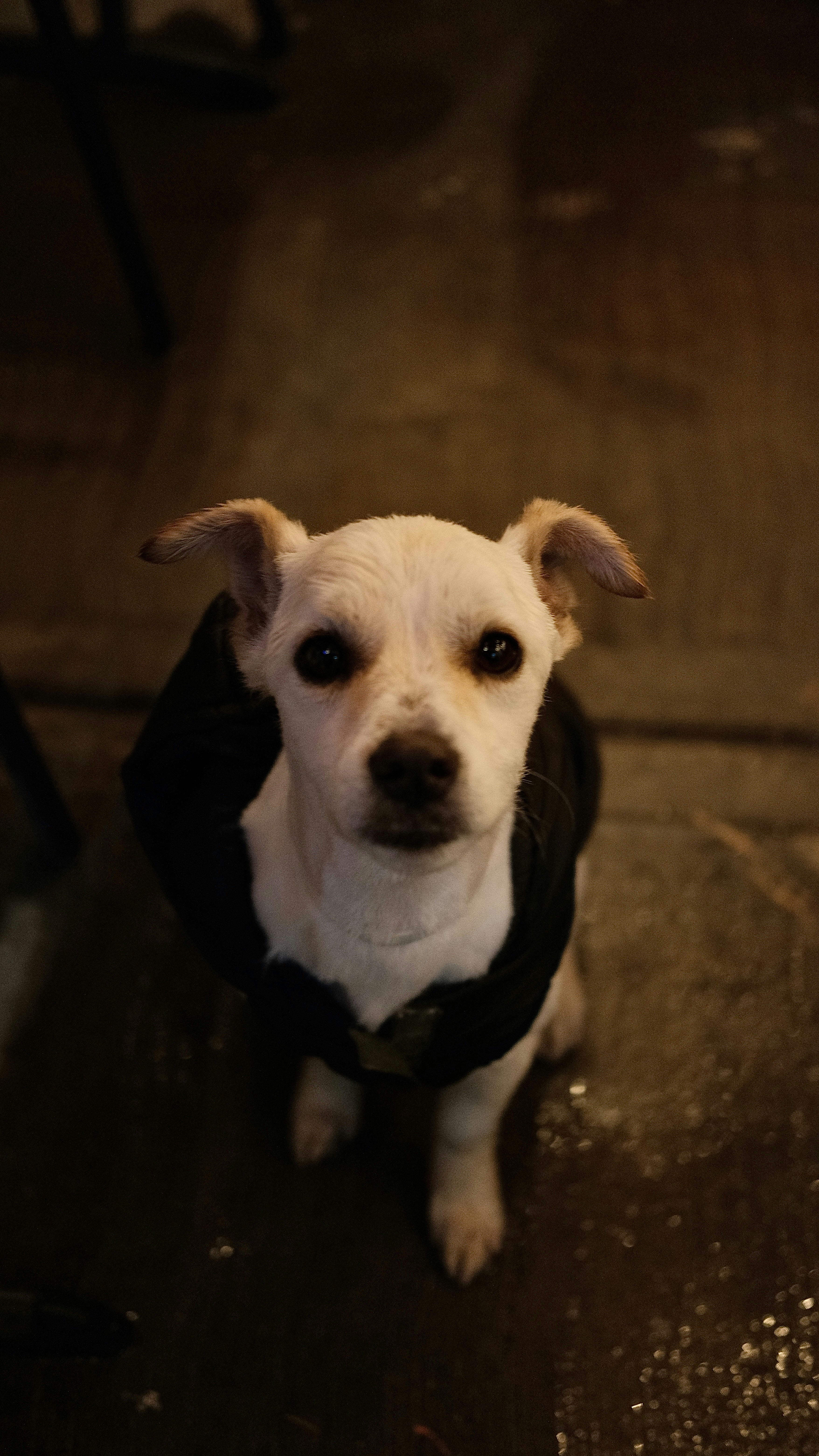 Photo by ernesto_sams