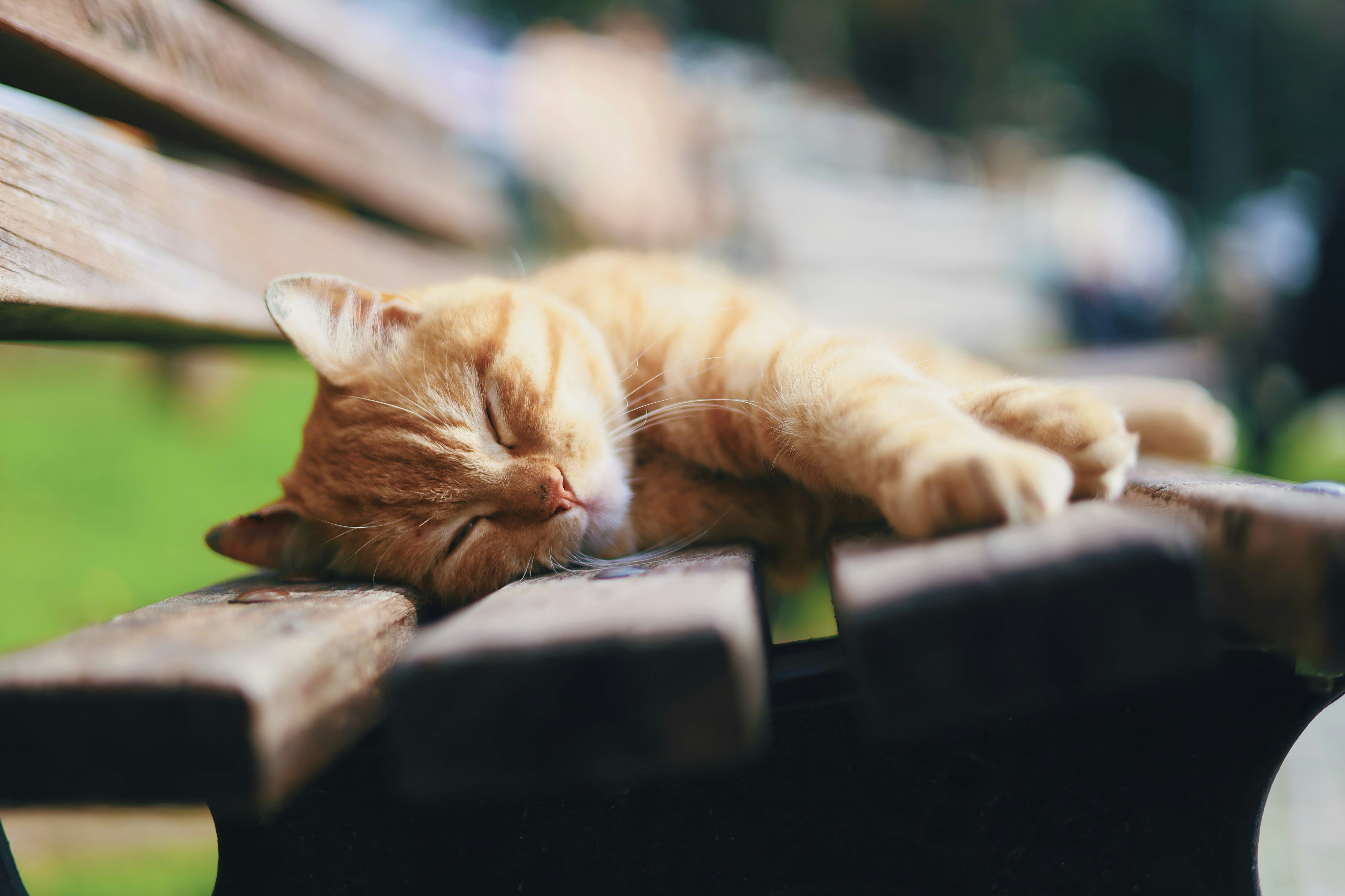 Photo by _fotofurkan_