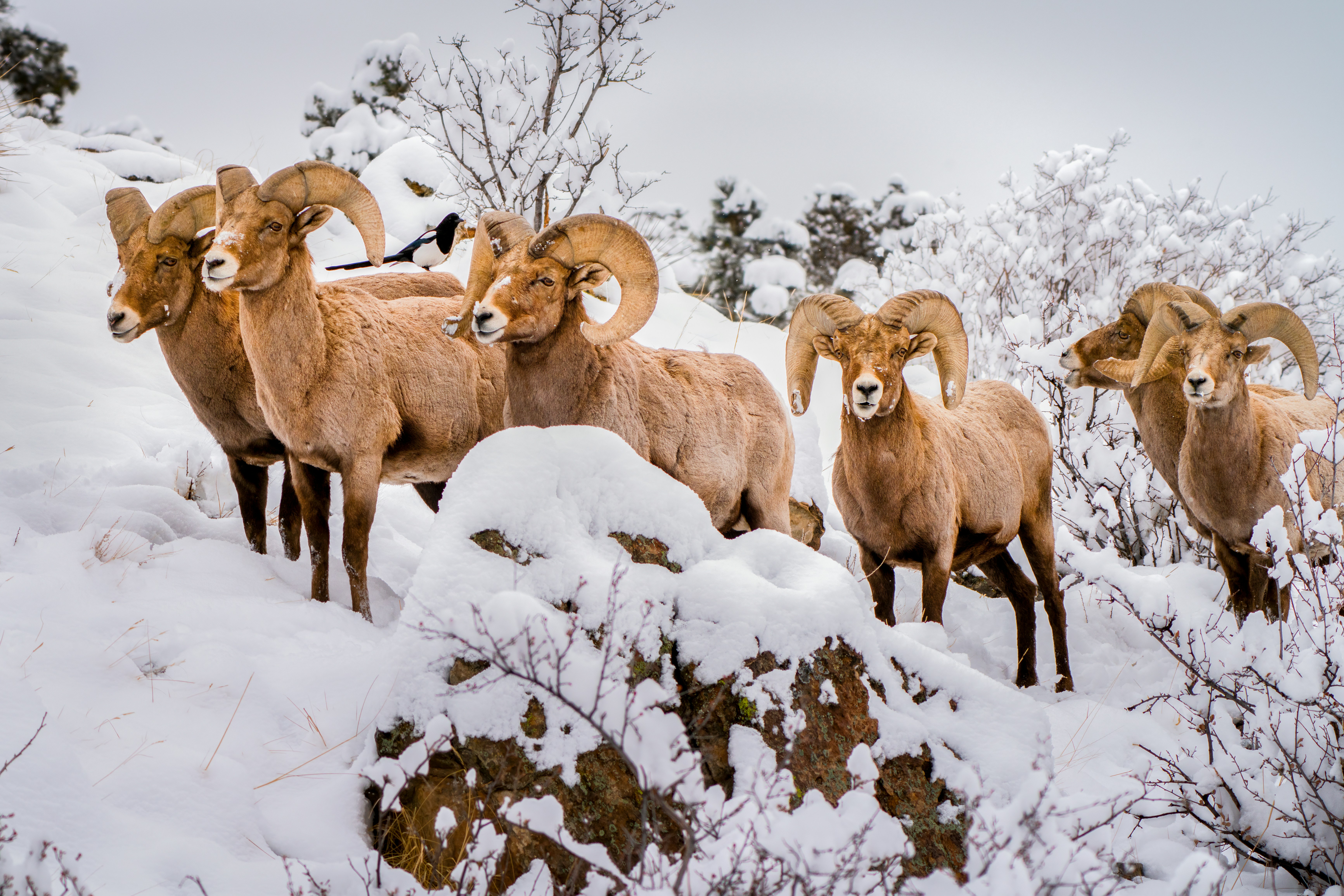 Photo by danielforsterphoto