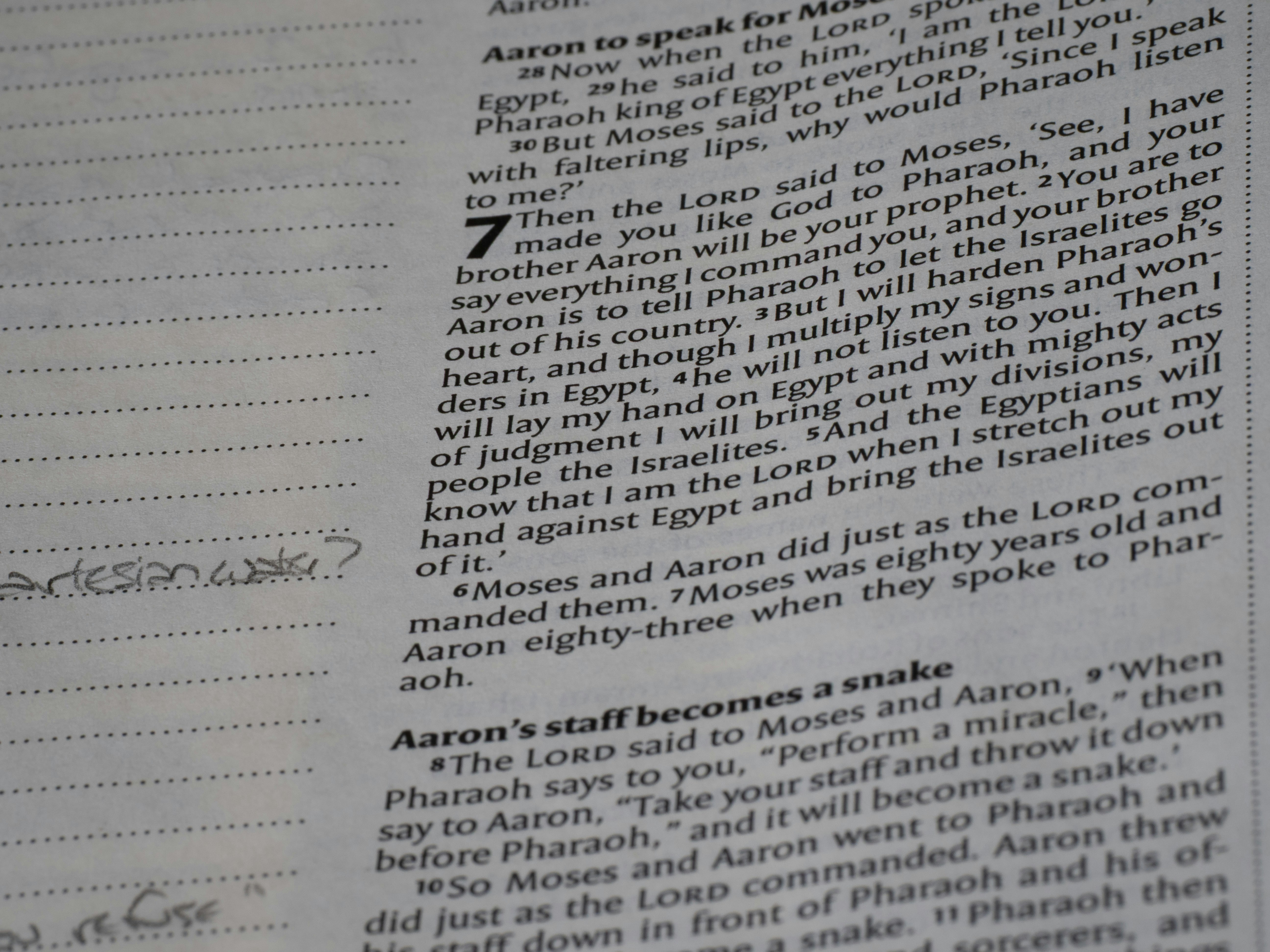 Photo by brett_jordan