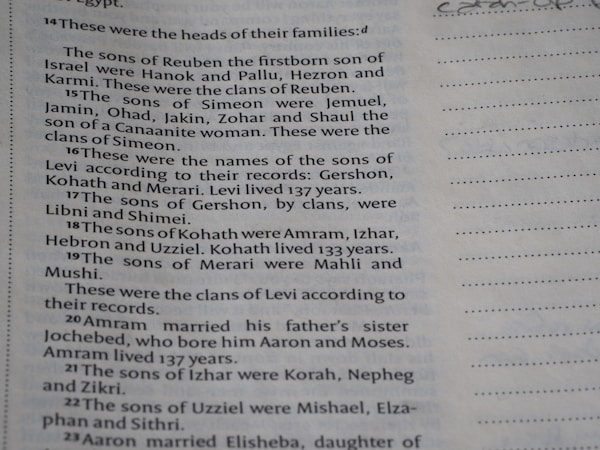 Family Legacy: Generational Inheritance Theme