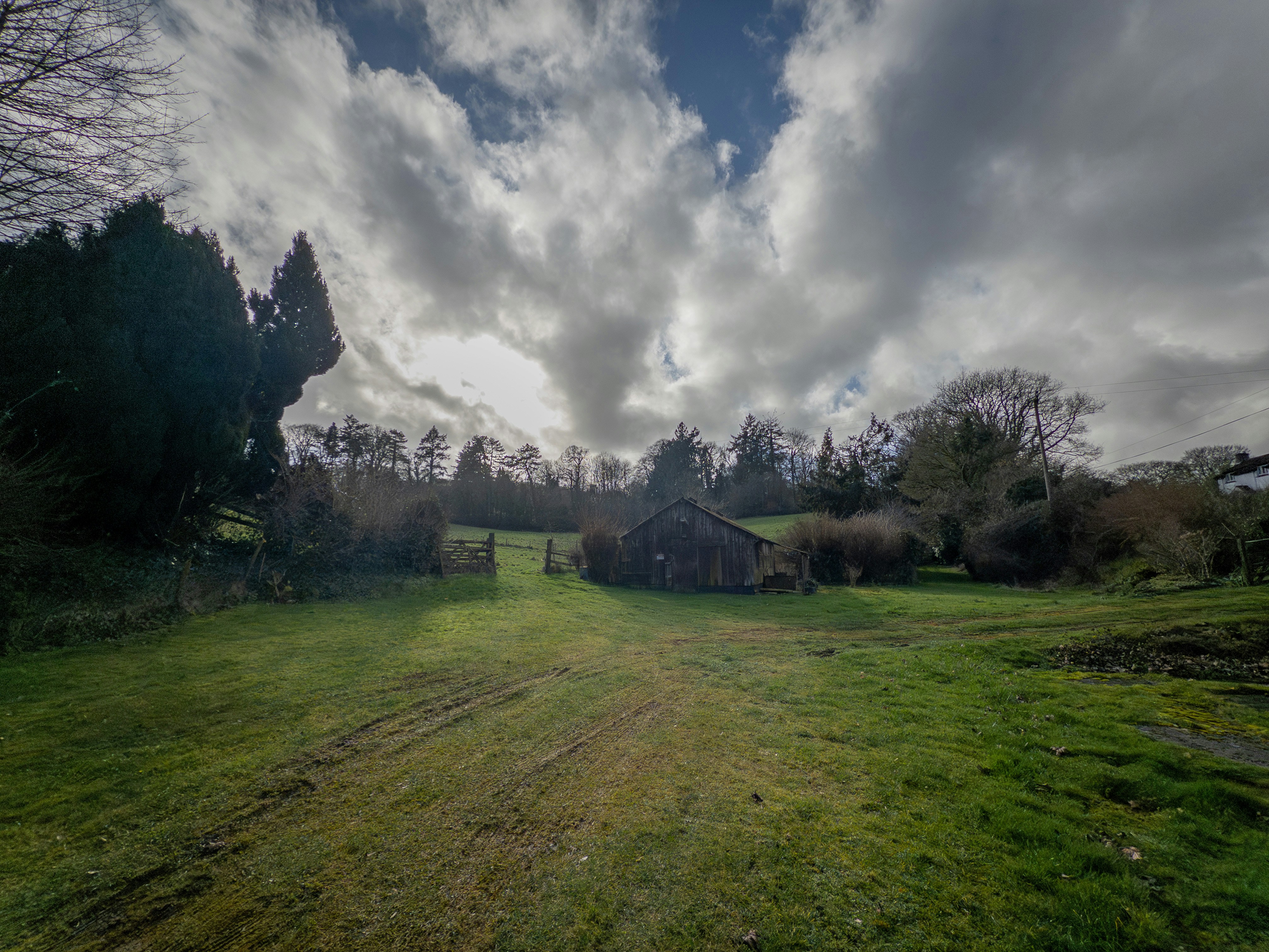 Photo by brett_jordan