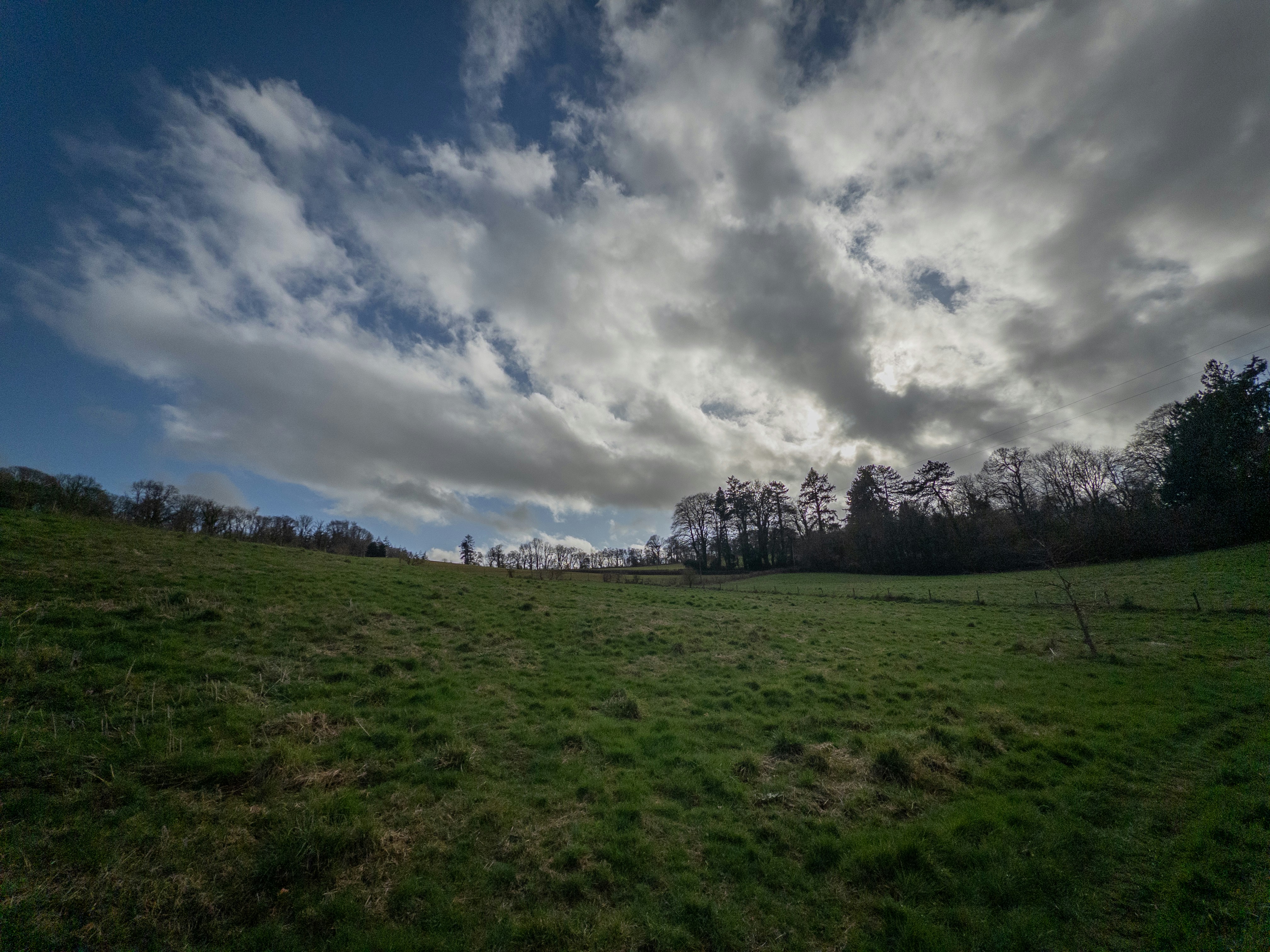 Photo by brett_jordan