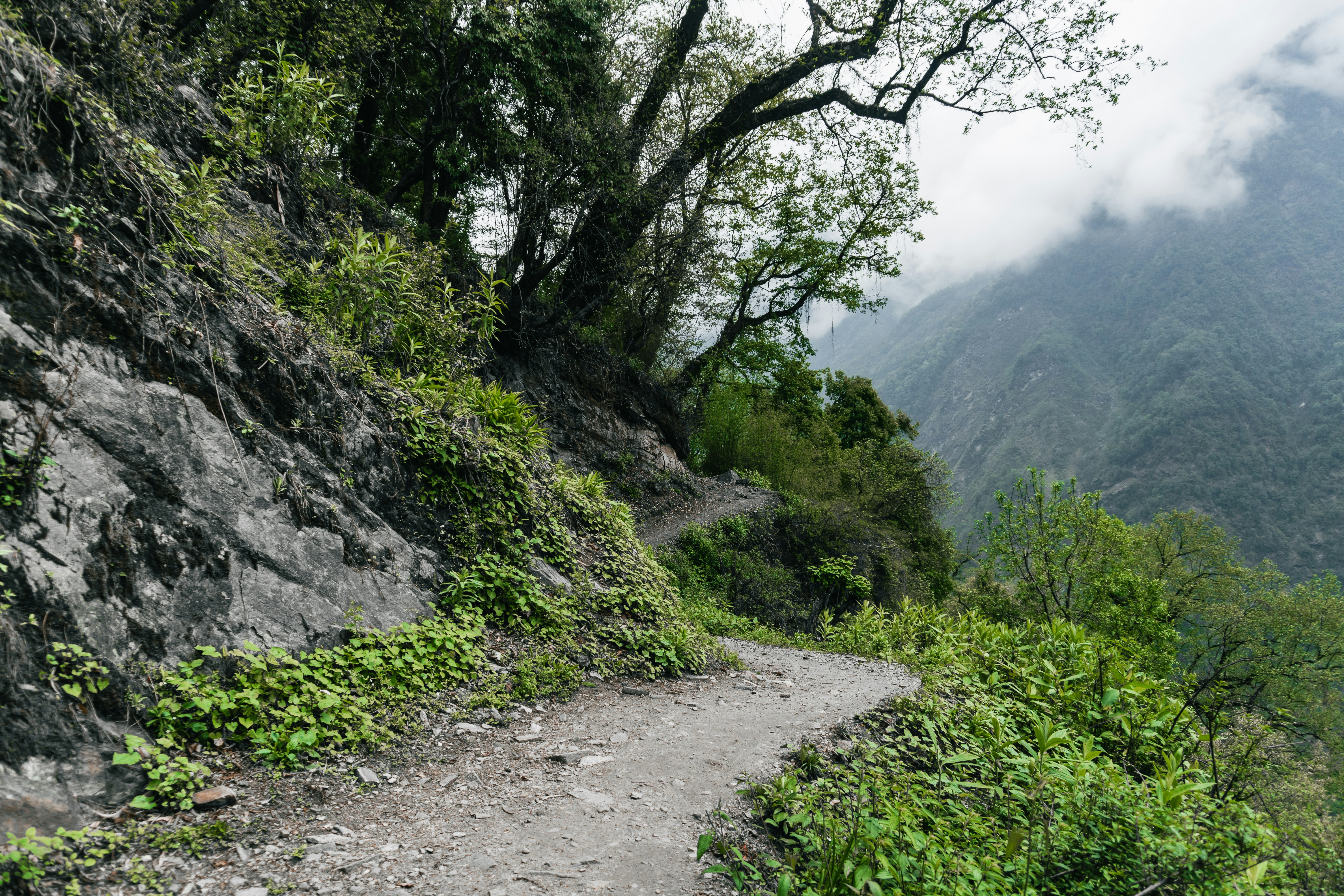 Photo by abdulkayum97