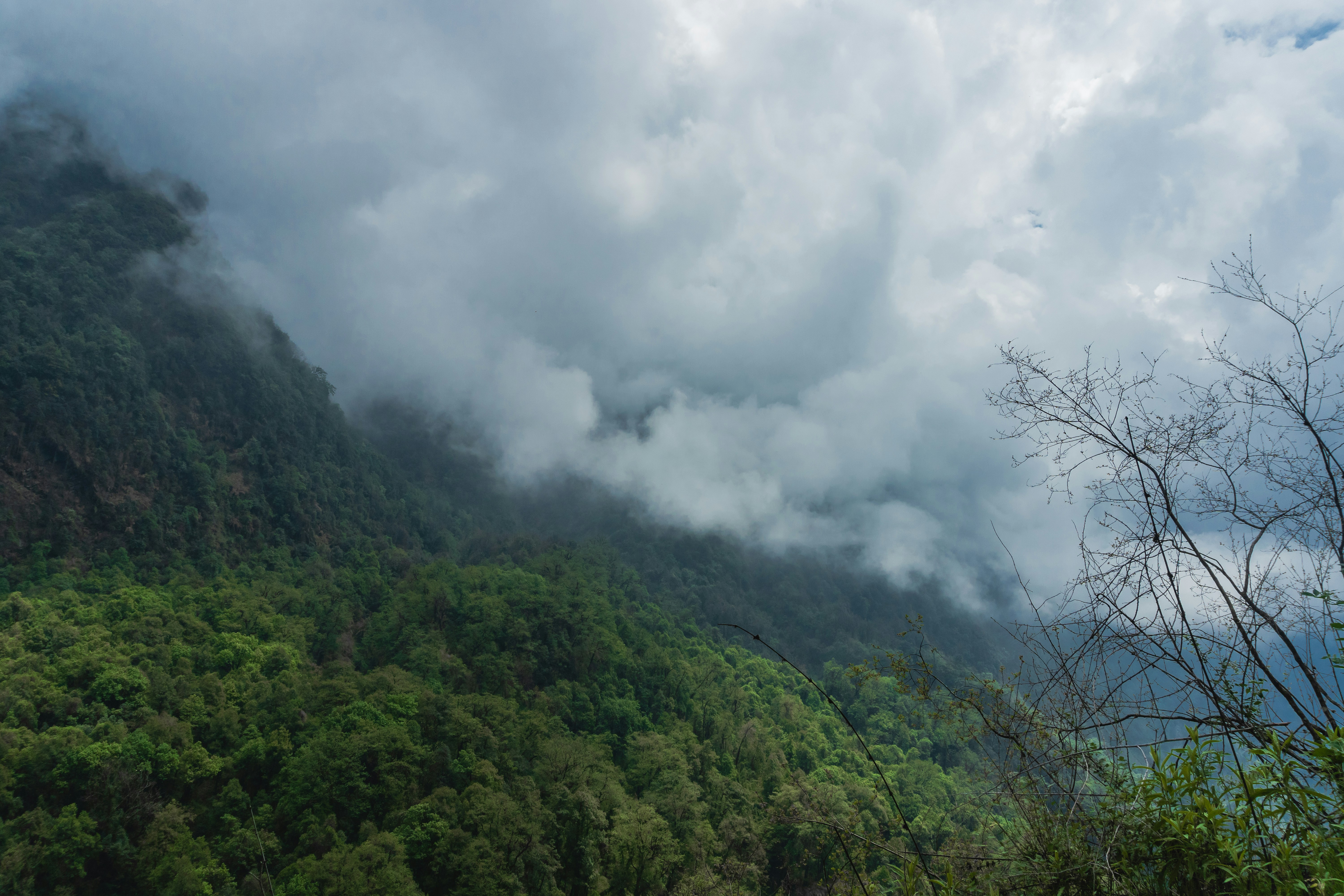 Photo by abdulkayum97