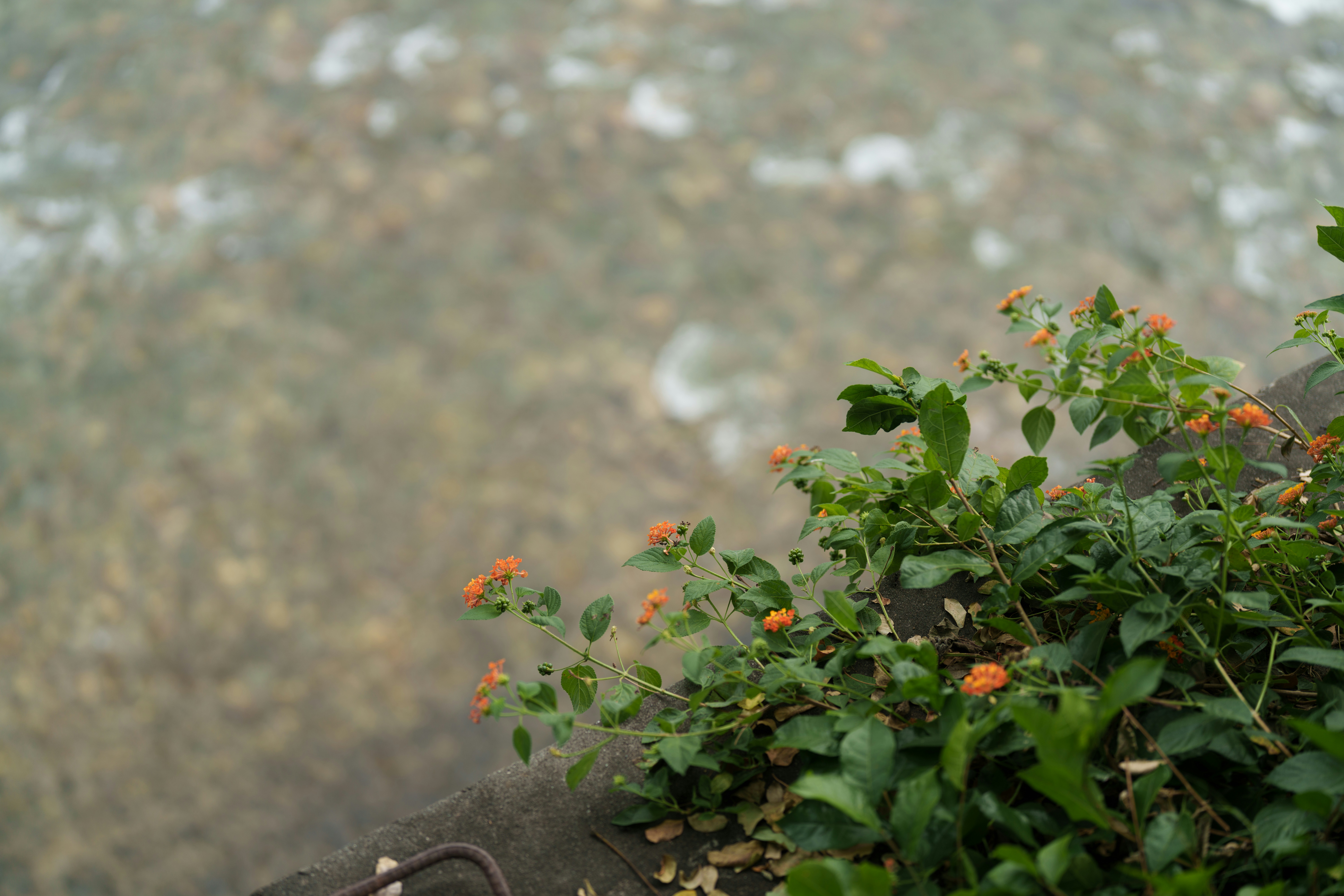 Photo by viditgoswami