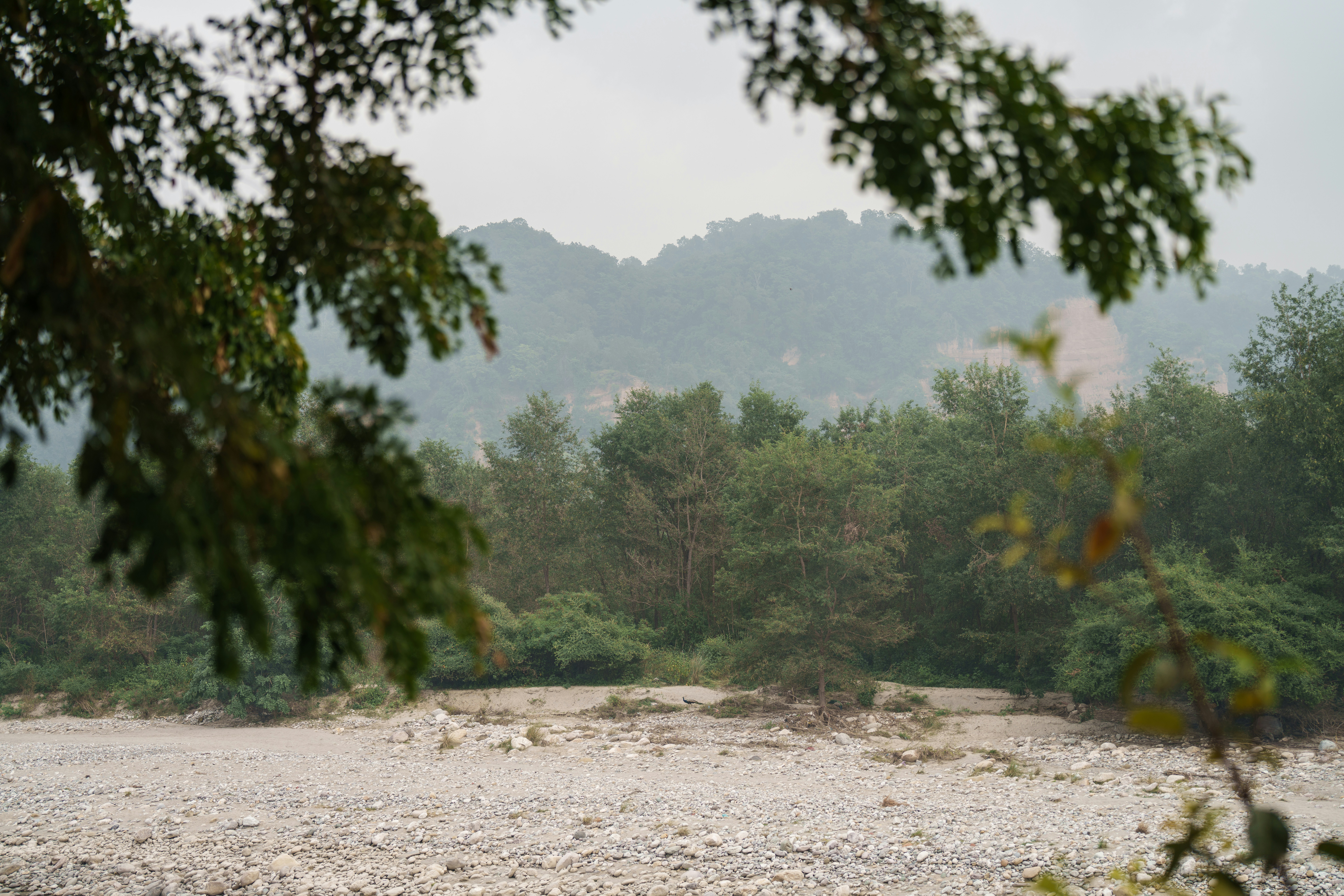 Photo by viditgoswami