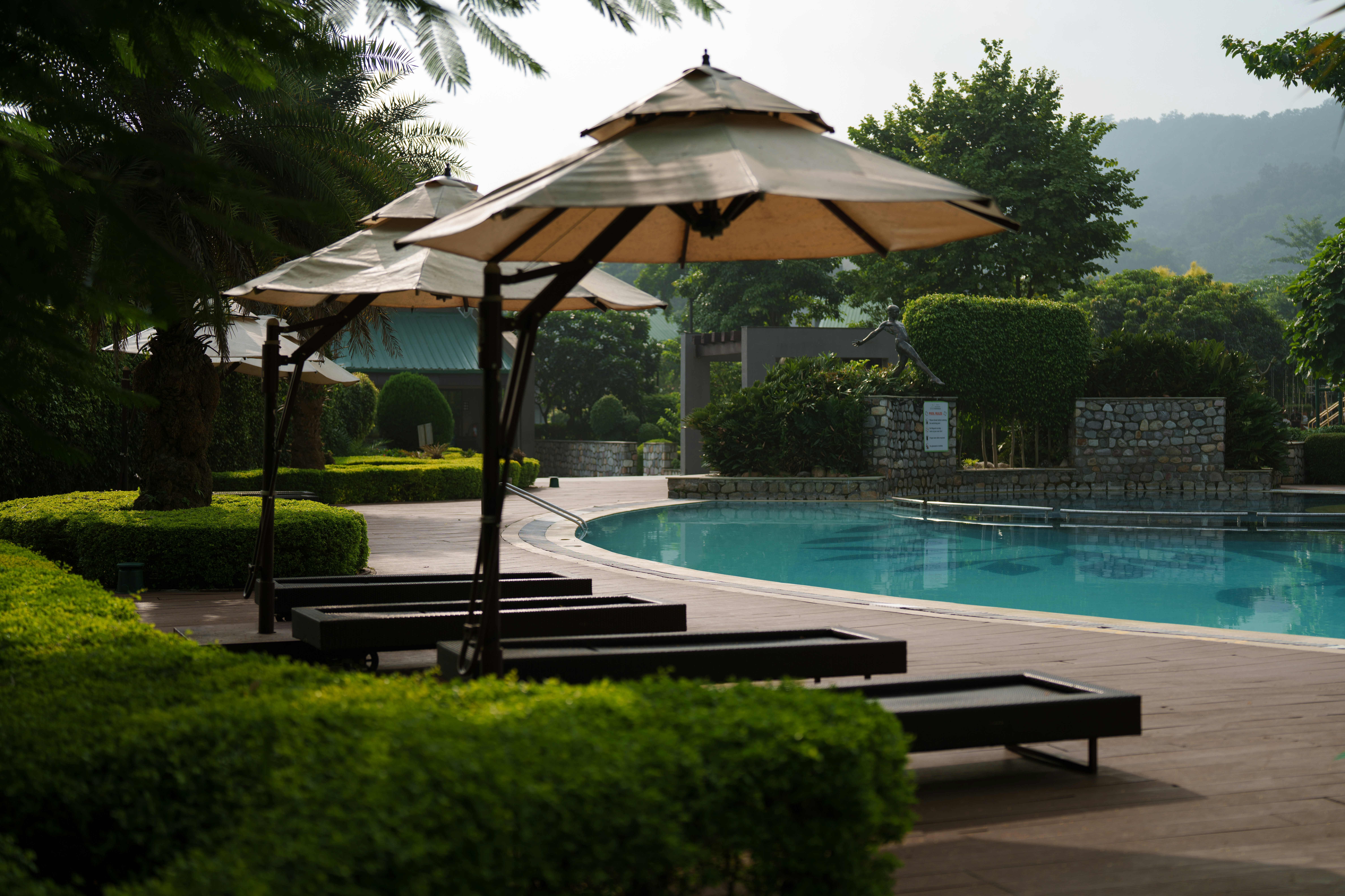Liegestühle und Sonnenschirme am Swimmingpool.
