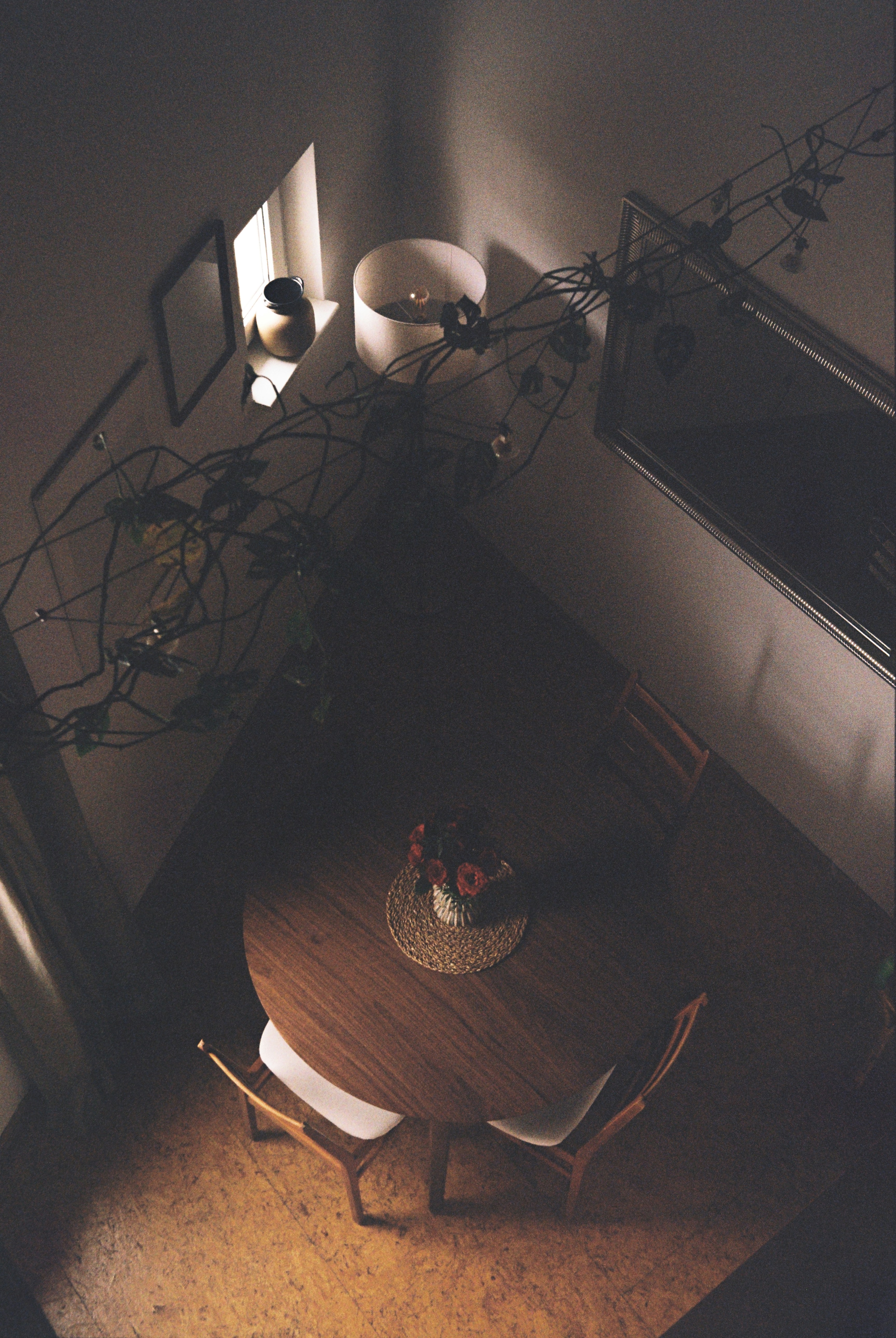 Photo by hypernature