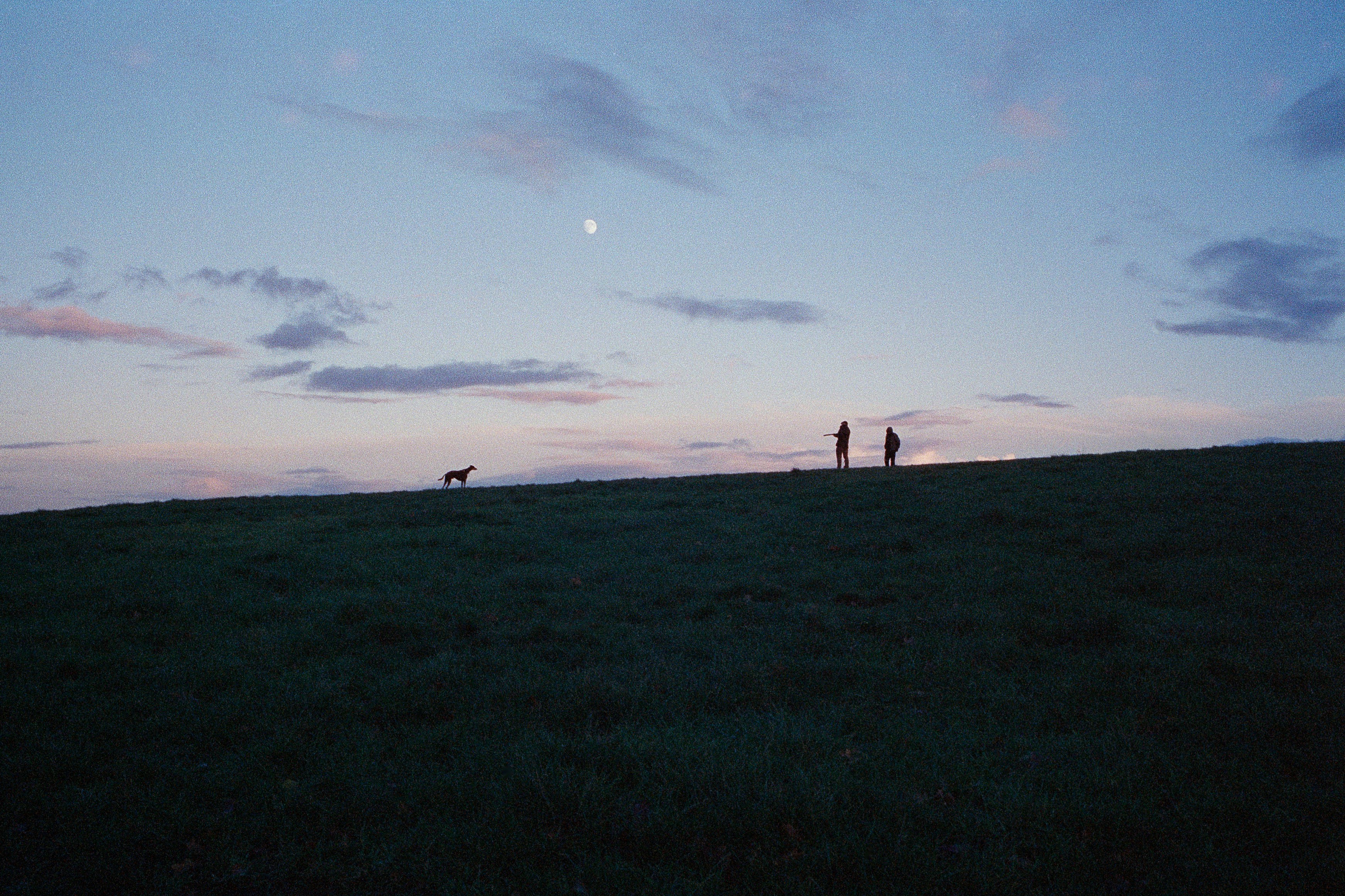 Photo by tjholowaychuk