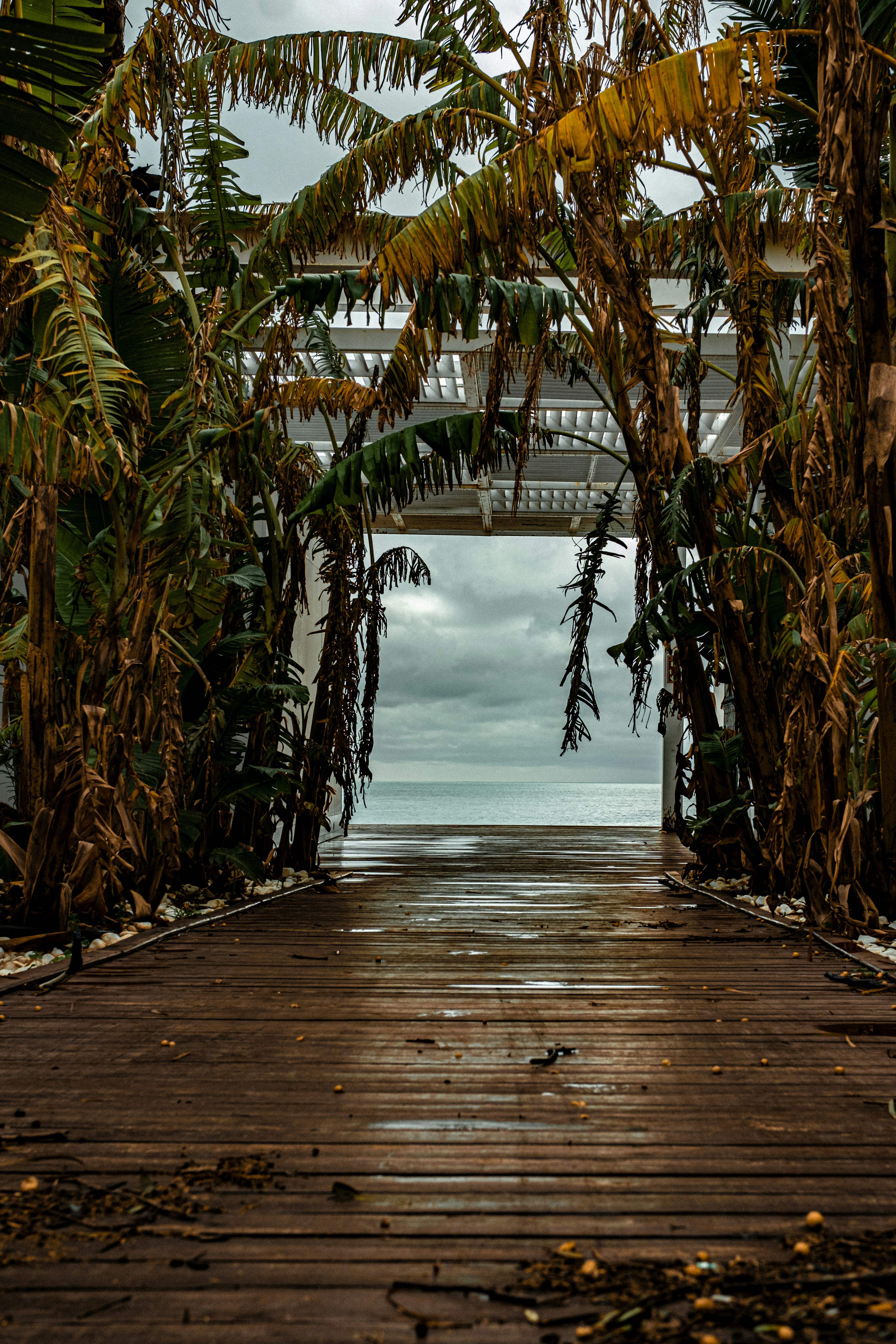 Photo by oldsoulframes