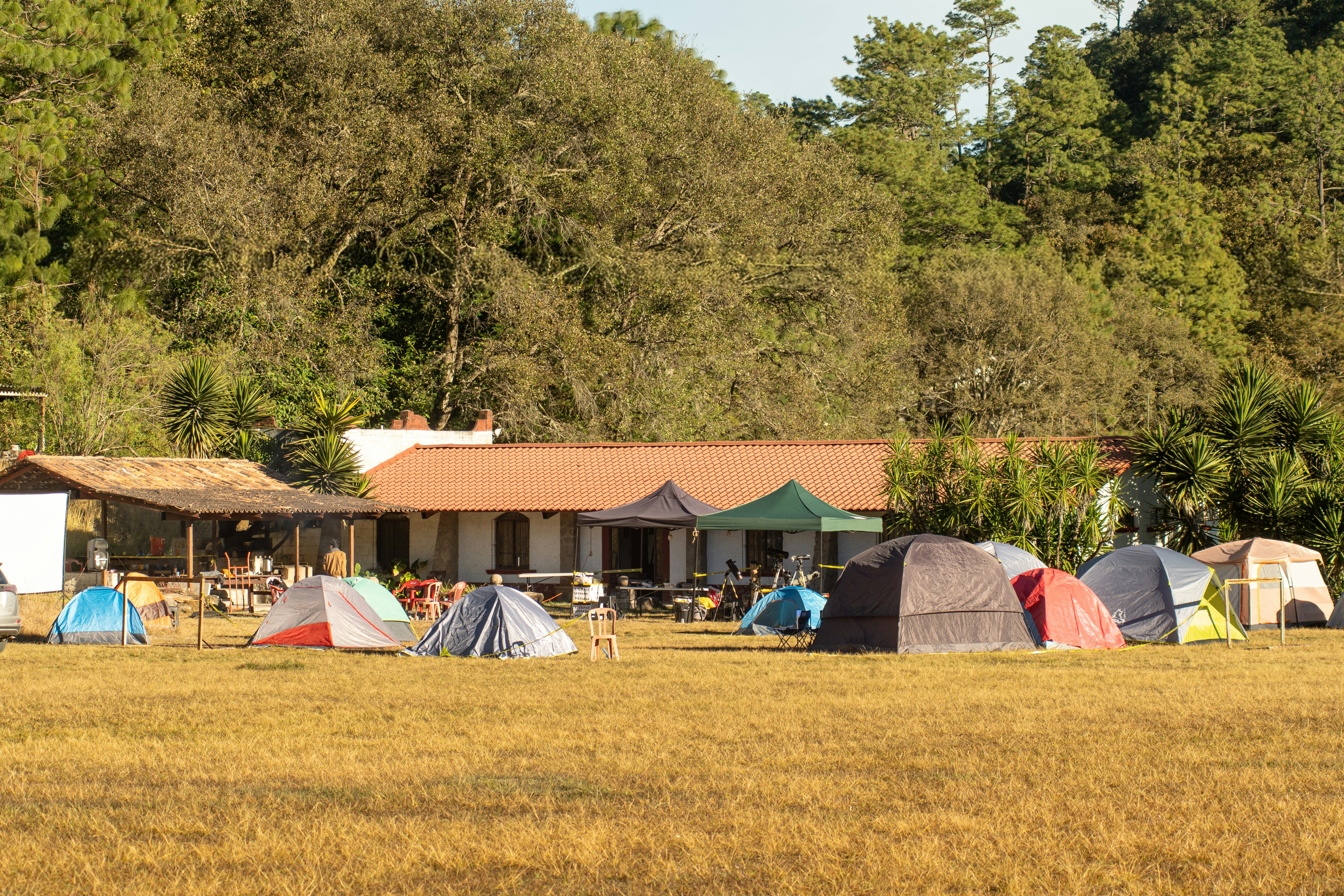 Tents set up in a grassy field with buildings behind.