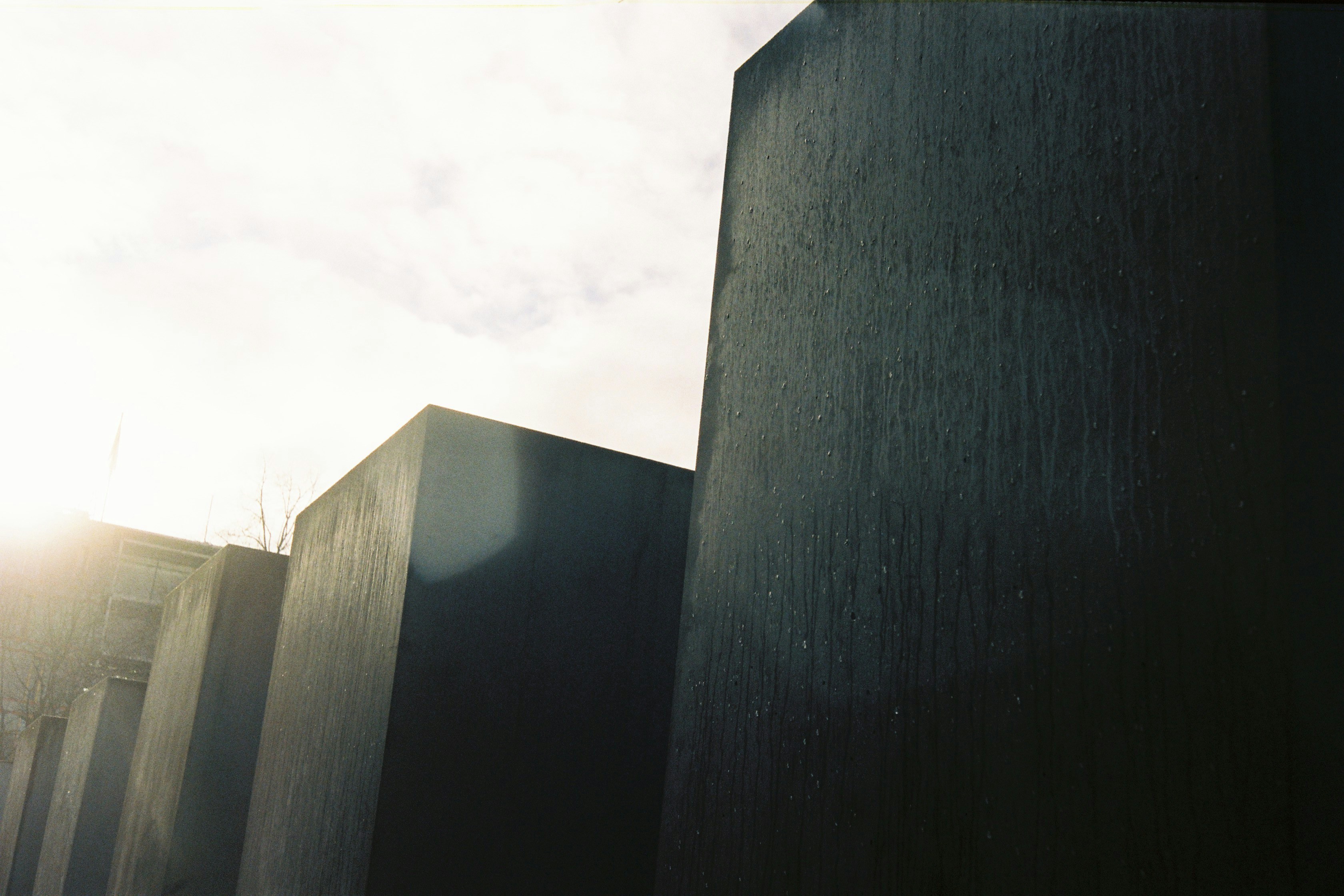 Photo by amberfoxfilm