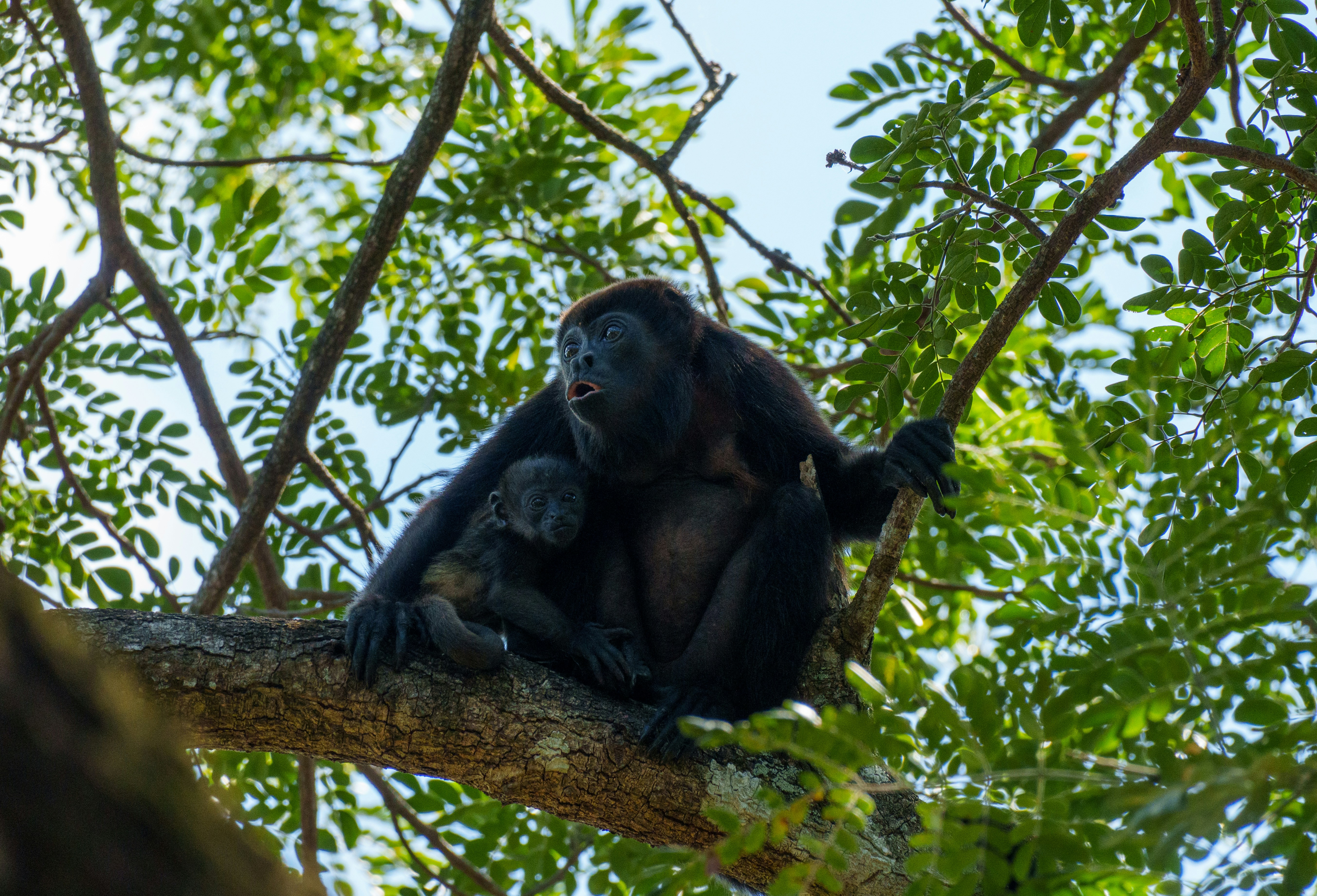 Photo by sizzle_king