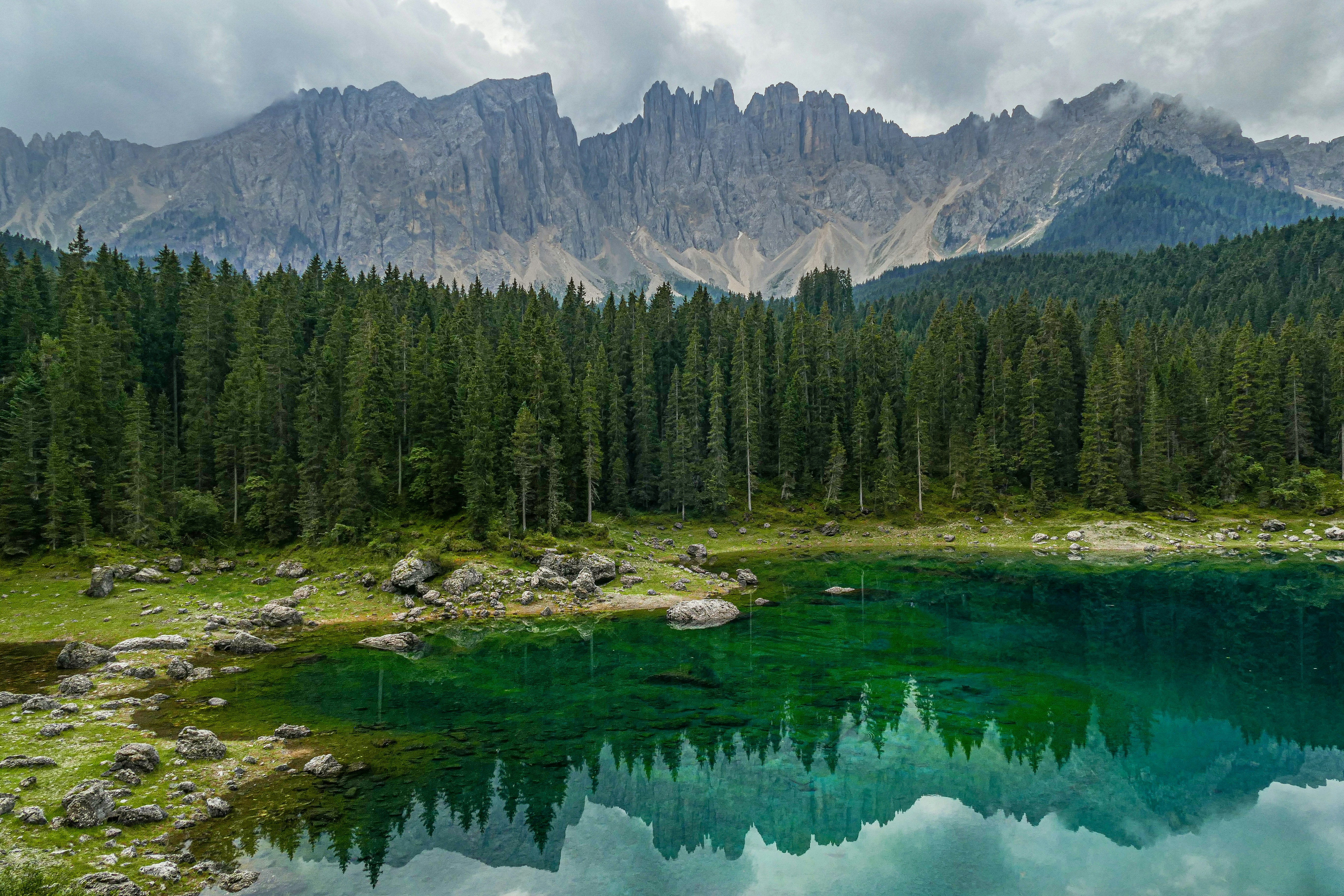 Photo by sizzle_king