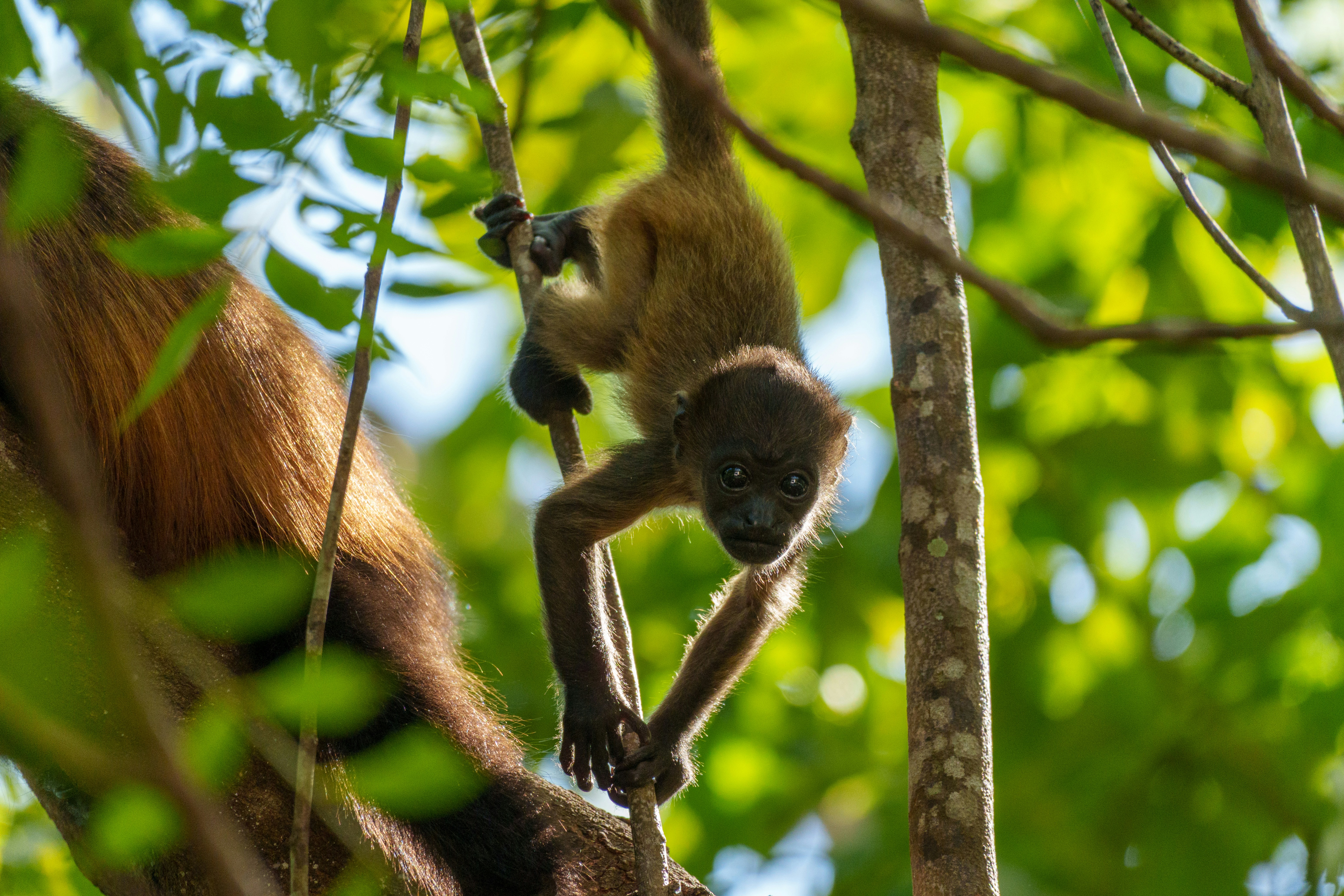 Photo by sizzle_king