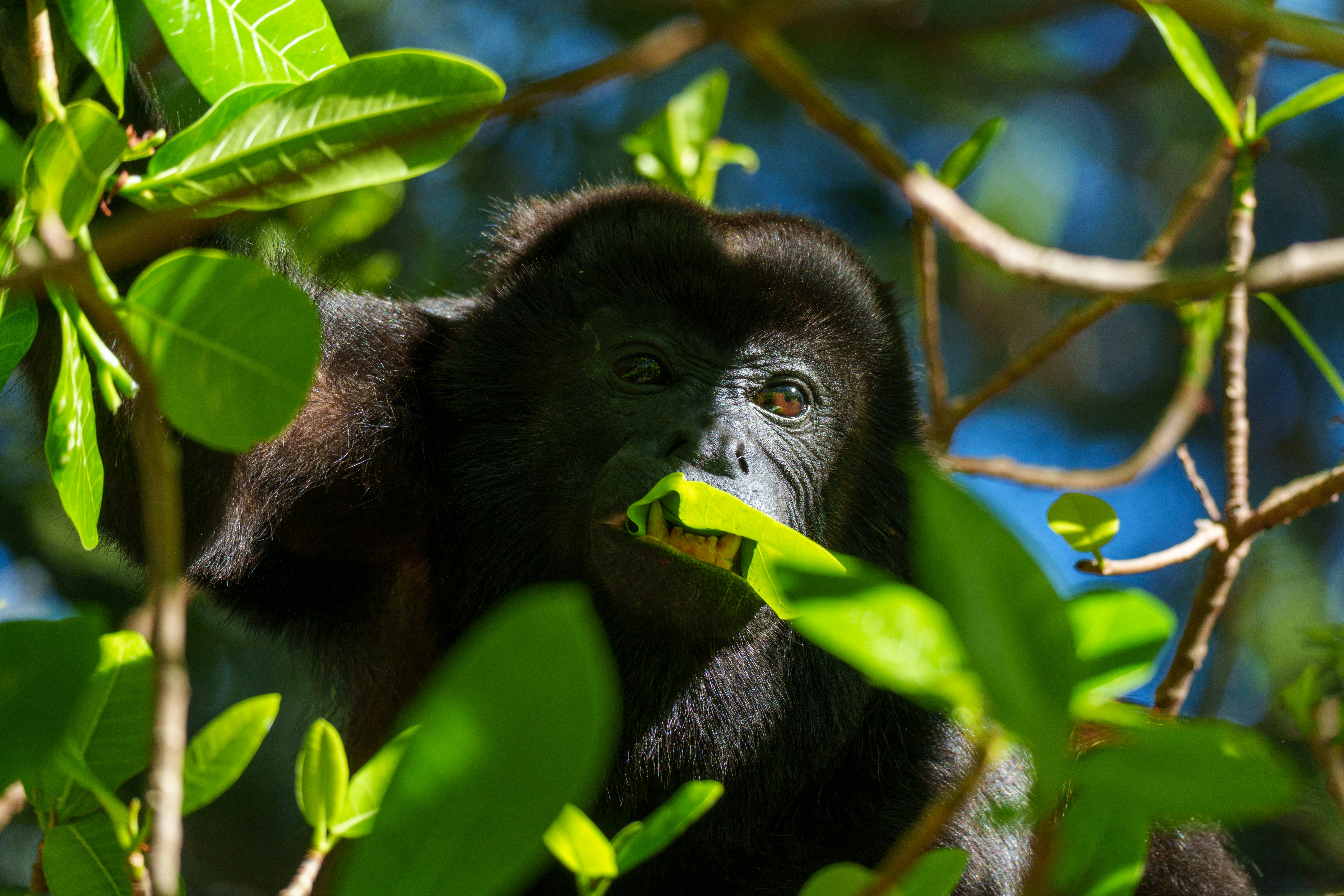 Photo by sizzle_king