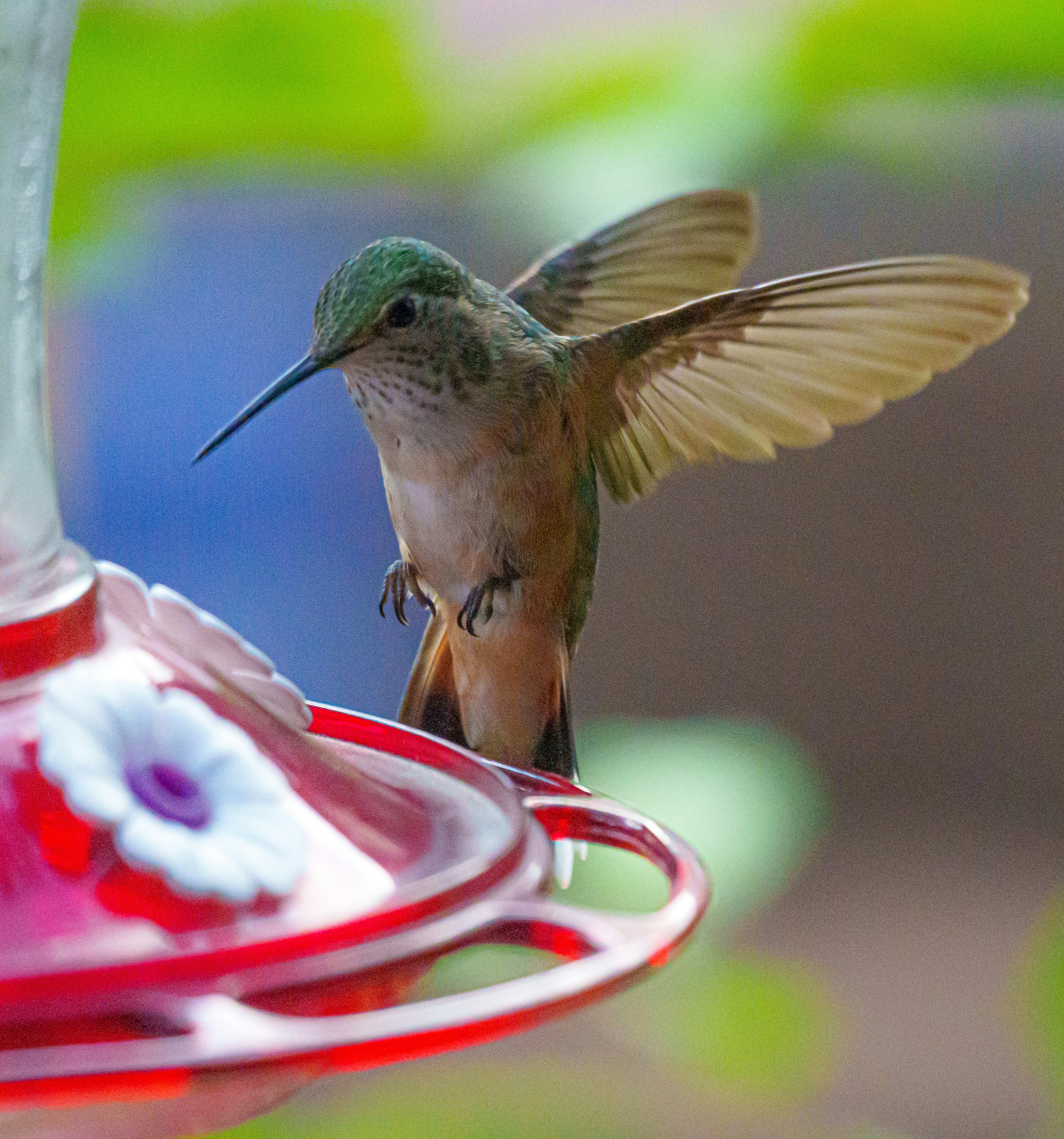 Photo by sizzle_king